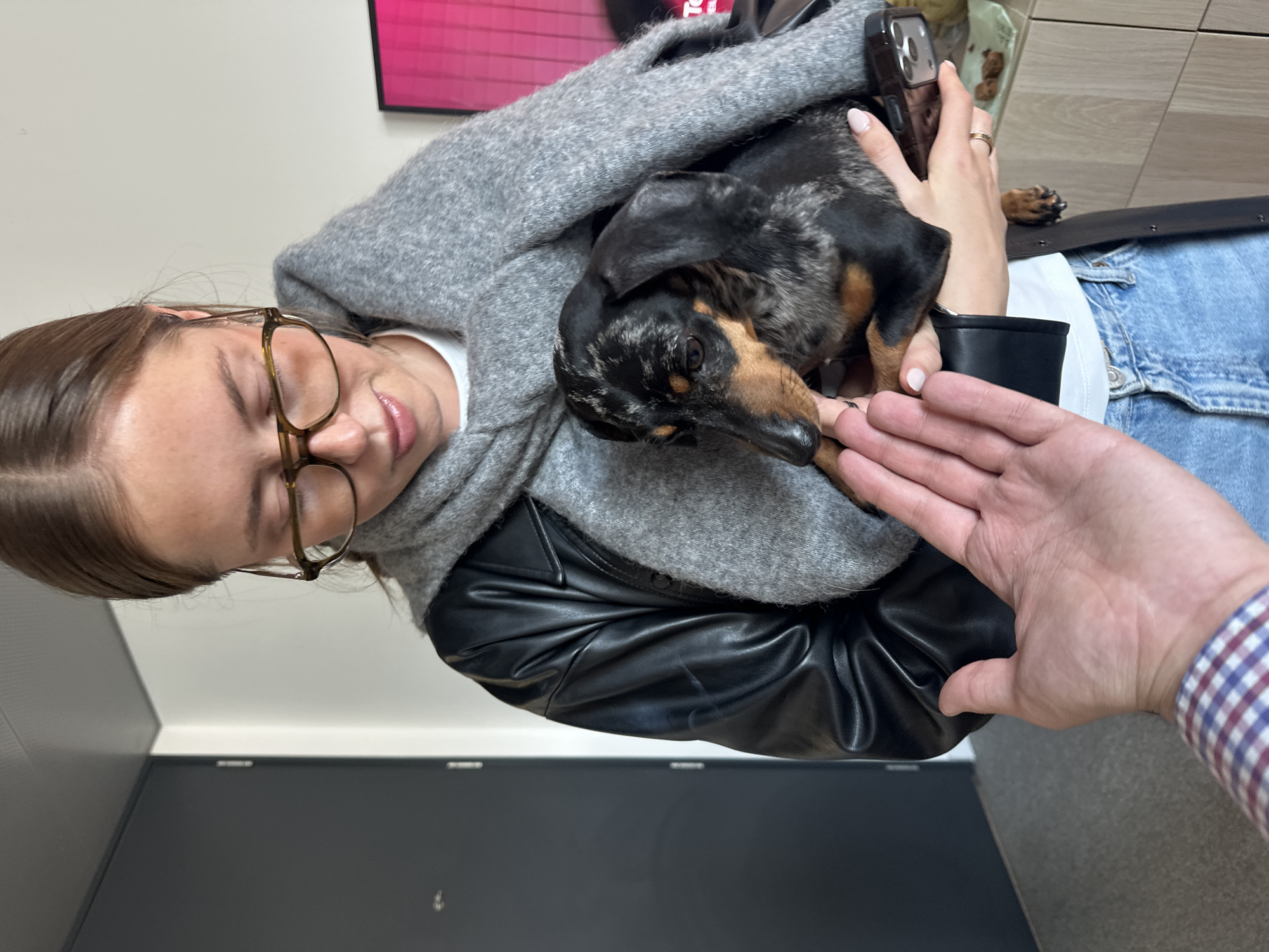 A woman wearing glasses and a gray sweater is holding a dachshund dog. She is wearing a black leather jacket and blue jeans with a black belt. A hand is reaching out toward the dog. The background includes a door, a wall, and a framed picture. There is no information suggesting this is in London.