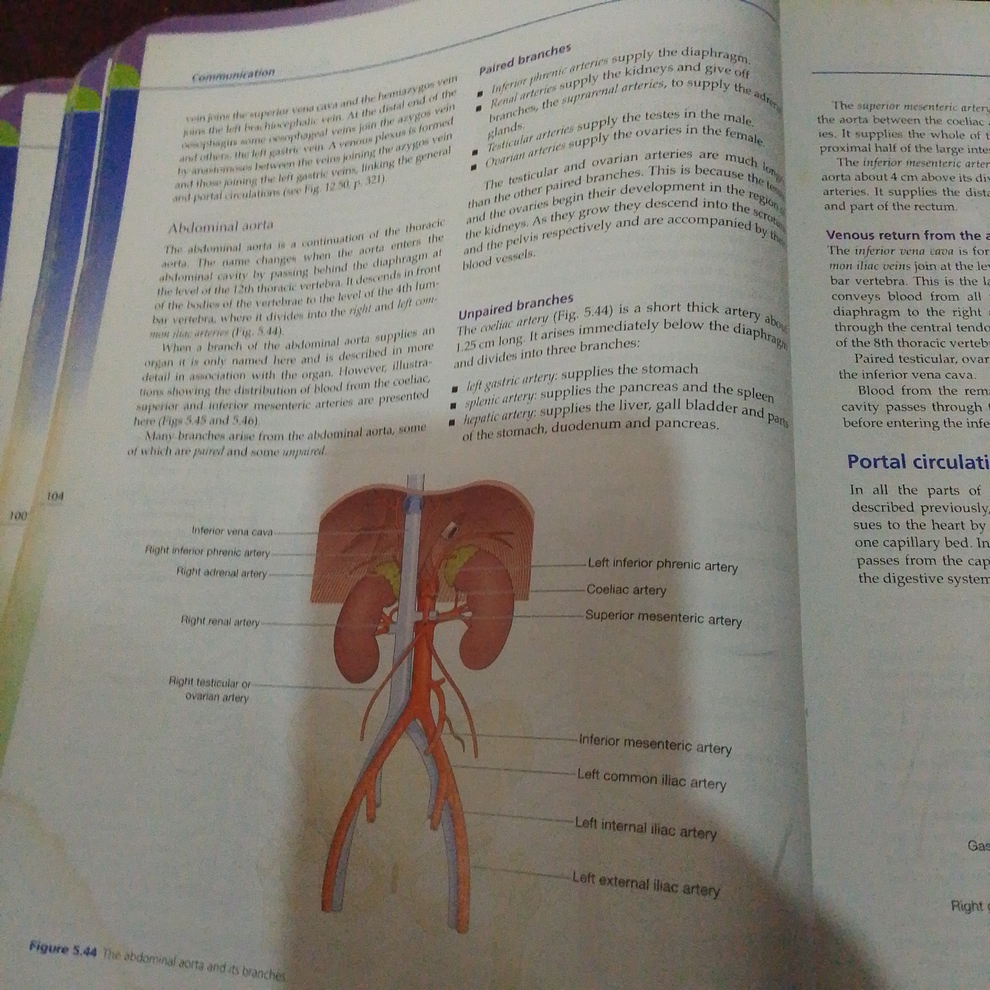 The image displays a diagram of the abdominal aorta and its branches, accompanied by explanatory text. The diagram shows the kidneys, the aorta, and various arteries branching off from it, such as the renal arteries, testicular or ovarian arteries, and mesenteric arteries. The text describes these arteries and their functions, as well as related venous systems and portal circulation. The image is a page from a medical textbook. There is no information in the image that relates to Jalingo, Nigeria.