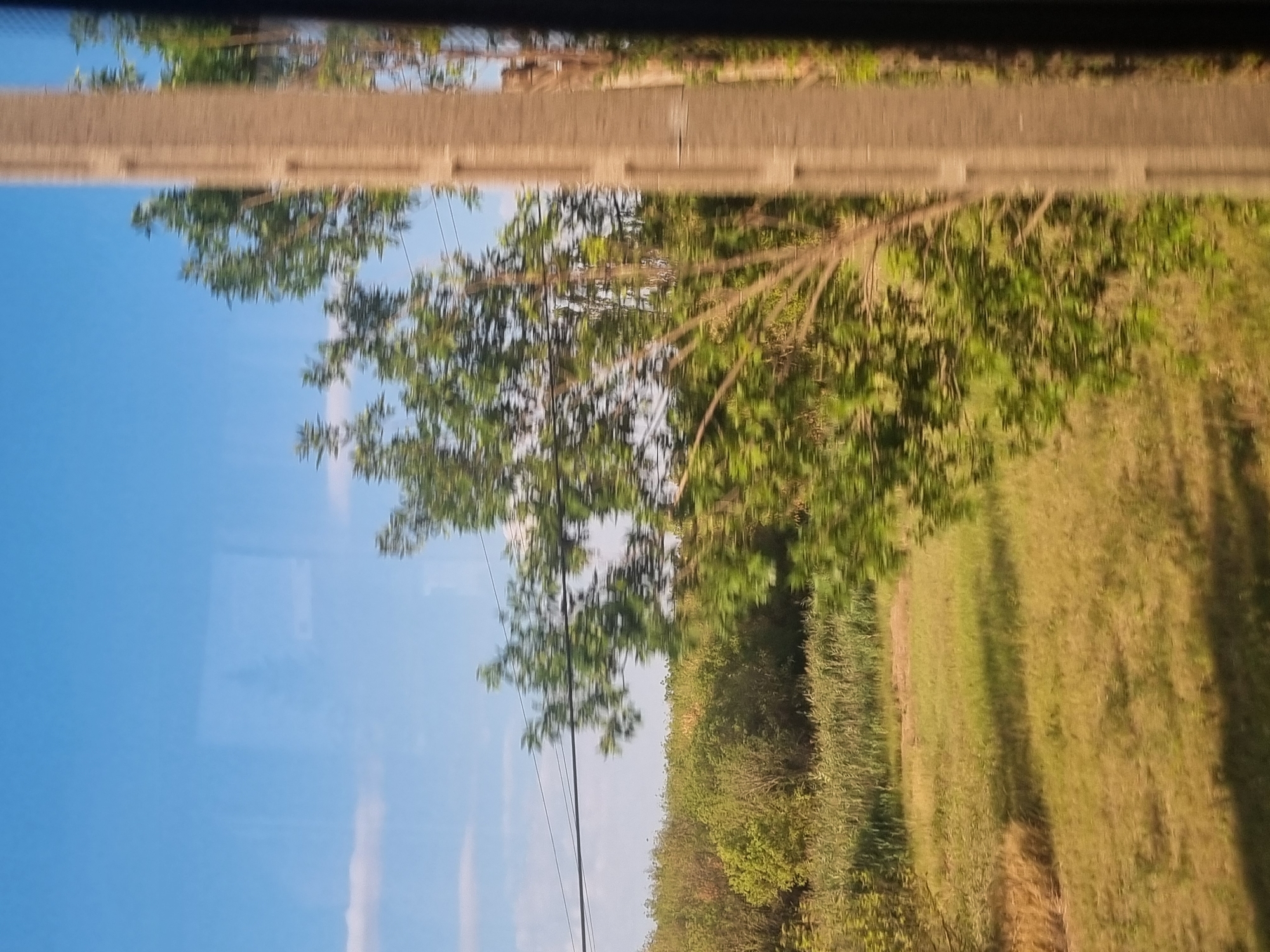 The image captures a view from a moving vehicle, likely a train or car, looking out at a rural landscape with a clear blue sky. In the foreground, a blurred, vertical concrete pole with rectangular indentations runs along the right side of the frame. To the left of the pole, a tree with green foliage is visible, also blurred due to motion. Beyond the tree, a field of dry, yellowish grass stretches into the distance, interspersed with patches of darker green vegetation. Further back, a dense line of trees and reeds forms a natural boundary. Two dark power lines are strung across the middle ground, running horizontally. The overall scene suggests a journey through the Hungarian countryside, potentially near Berettyóújfalu, given the context. There are no people or animals visible in the image. The light indicates it is daytime, with a bright sky and shadows cast on the field.