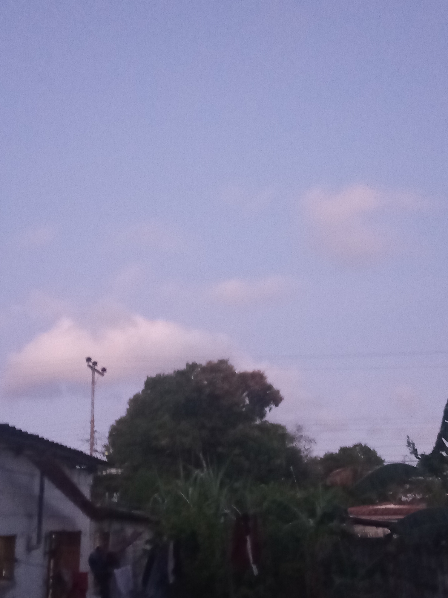 This image depicts an outdoor scene at dusk or dawn in Juan Griego, Venezuela. The sky, occupying the upper two-thirds of the frame, displays a light purplish-blue hue with several diffuse, elongated clouds, some showing faint pink coloration, especially towards the lower horizon. In the lower-left quadrant, a portion of a light-colored building with a dark, angled roof is visible, featuring a window and a doorway. Two indistinct dark figures are present near the building, one appearing to interact with clothes hanging on a line in the immediate foreground. Centrally, a utility pole supporting two light fixtures and horizontal power lines extends upwards. A large, dense green tree with a rounded canopy dominates the center-right midground. Dense green vegetation, including what appear to be dark garments hanging within it, fills the lower right midground. Dimly lit structures and additional foliage are discernible in the far right background.
