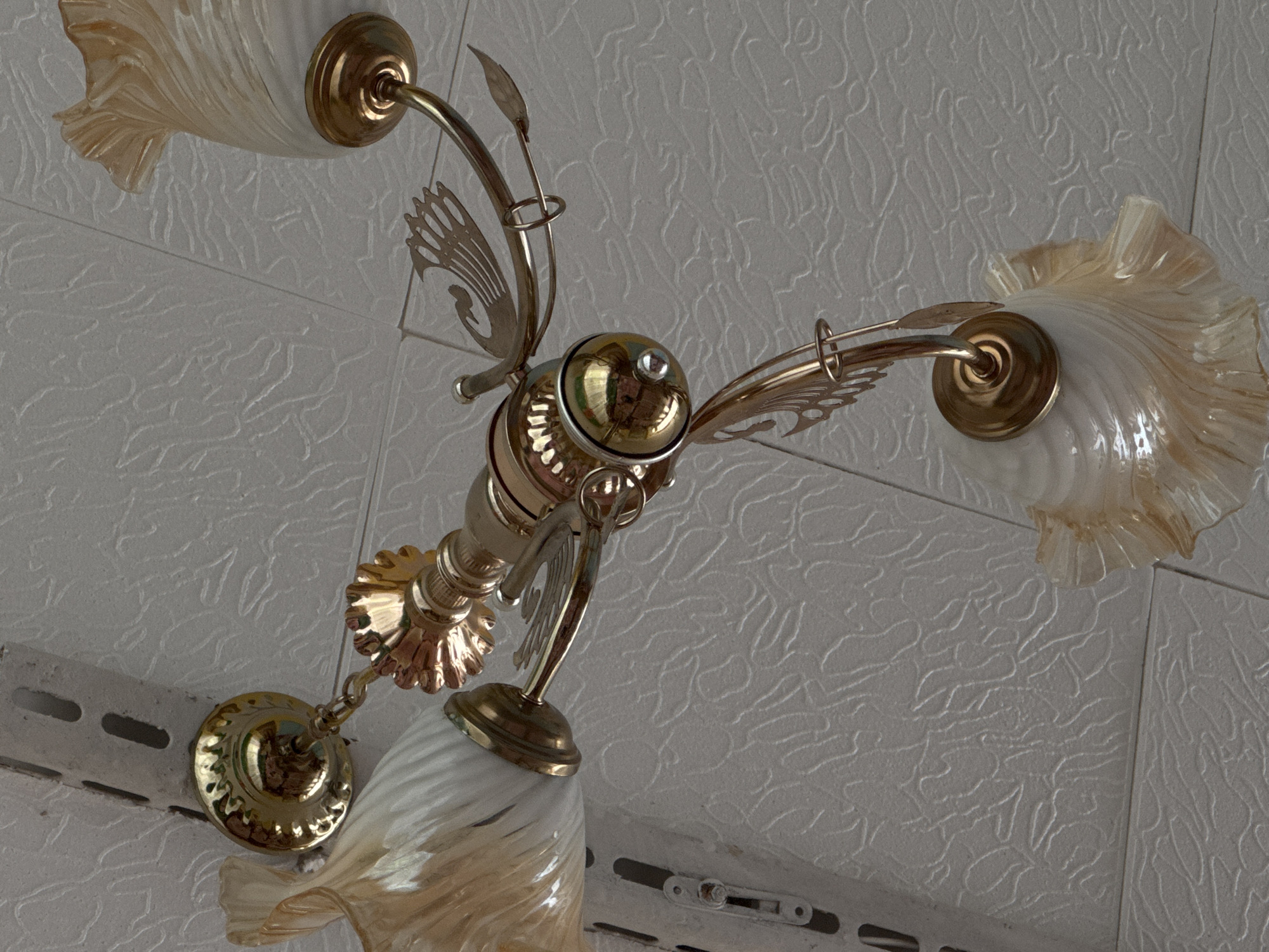 An ornate, gold-colored chandelier hangs from a textured white ceiling. The chandelier has multiple arms, each supporting a cream-colored glass shade with a ruffled, golden-orange rim. Decorative gold metal embellishments, resembling feathers or leaves, extend from the arms. The ceiling appears to be made of large, square tiles with a raised, wavy pattern. A metal bracket, likely for mounting the chandelier, is visible attached to the ceiling on the left side of the image. The image is taken from a low angle, looking up at the fixture. The location is the city of Lukhovitsy, Russia.