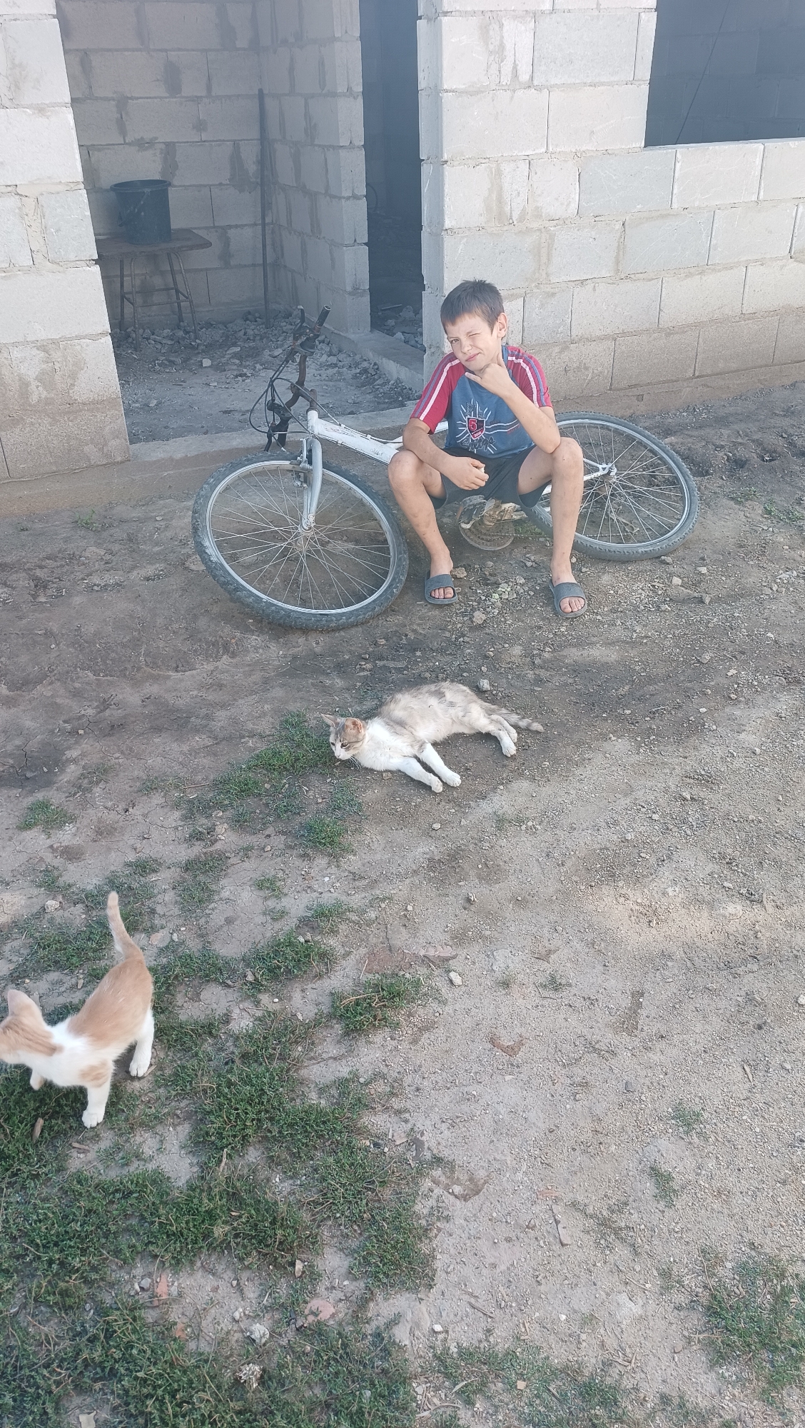 In Leușeni, Moldova, a young boy sits on the ground next to a white bicycle. He is wearing a red and blue t-shirt and dark shorts, with a pair of grey sandals on his feet. His right hand is raised, making a "rock on" gesture. To the left of the boy, a light-colored cat with grey patches is lying down on the dirt and sparse grass. Further to the left and closer to the foreground, a ginger and white kitten stands on the grass. In the background, a partially constructed building made of concrete blocks is visible, with an open doorway. A dark bucket sits on a small wooden table inside the building's opening. The ground is a mixture of dirt, gravel, and patches of grass.