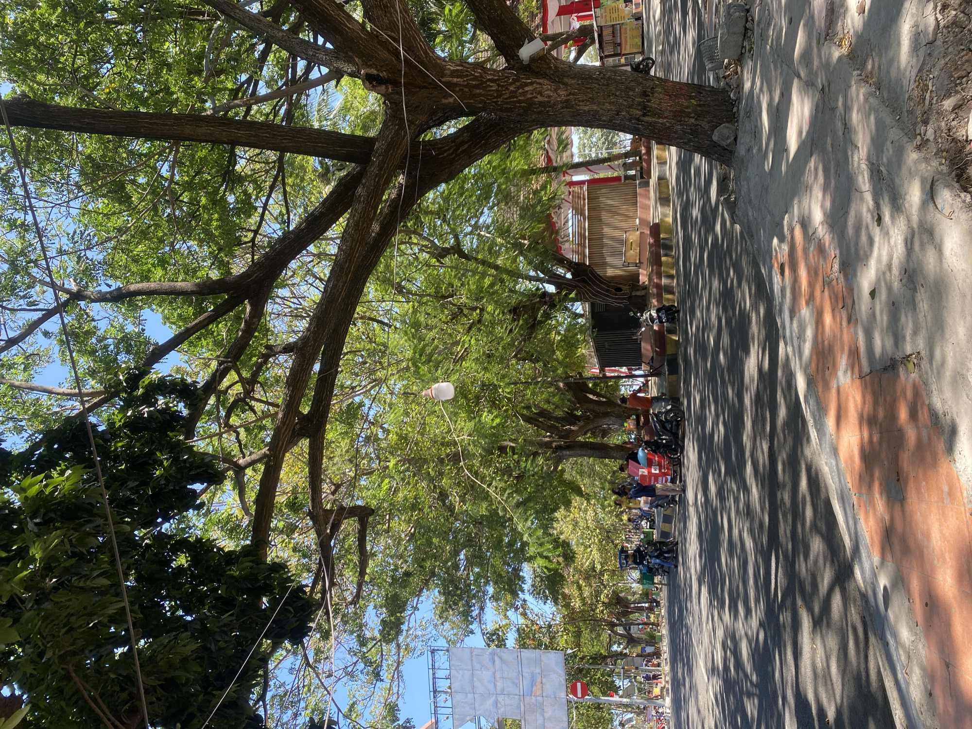 The image depicts a street scene in Bantaeng, Indonesia, likely in the afternoon due to the dappled sunlight and shadows cast by large trees lining the road. The foreground shows a concrete sidewalk with an orange and gray painted section. A large tree with a thick trunk dominates the right side of the frame. The street itself is paved and appears to be a moderate-traffic area.
Several motorcycles are parked or being ridden on the street. A few individuals are visible, including a group gathered near a red and black cooler or delivery box on a motorcycle. Another person in an orange shirt stands near some stalls or buildings in the background. To the left, a tall, multi-paneled sign structure is present, along with a red and white circular traffic sign. The background reveals more trees, buildings with red and white awnings, and a clear blue sky. The overall impression is of a lively urban environment under the shade of mature trees.