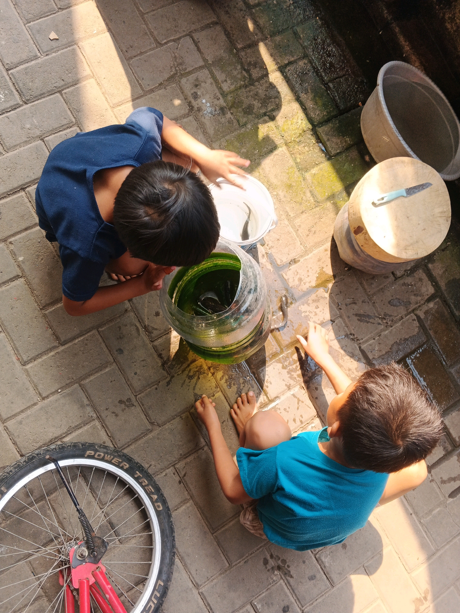 Two young boys are shown from a high angle, sitting on a paved ground outdoors in Kadu, Indonesia. Sunlight casts strong shadows. The boy on the left, wearing a dark blue t-shirt, is crouched and appears to be interacting with a clear glass container filled with green liquid. Beside him is a white bucket containing a fish. The boy on the right, wearing a teal t-shirt, is also crouched and reaching towards a small fish on the wet pavement. In the background, a large round light-colored tub and a wooden cutting board with a knife are visible. A bicycle wheel with red spokes is in the foreground on the left. The ground is composed of grey interlocking paving stones, some of which are wet, suggesting recent water activity.