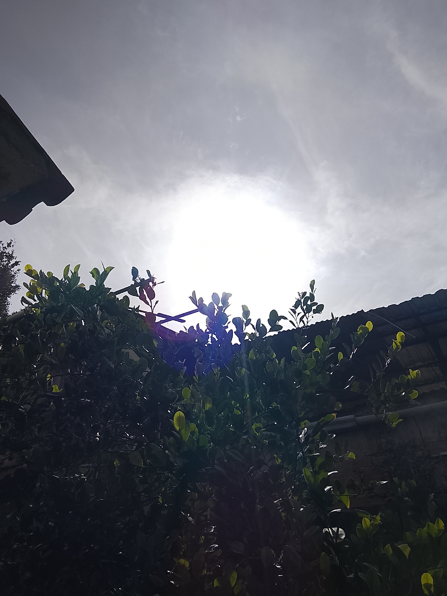 The image, potentially taken in Altagracia, Venezuela, shows a bright, obscured sun in a cloudy sky, viewed through the foliage of a tree or bush. A section of a roofline is visible in the upper left corner, and another roof is on the right. The lighting makes the vegetation appear dark with occasional bright spots where the sun filters through. The environment appears to be urban or suburban. No people are visible.