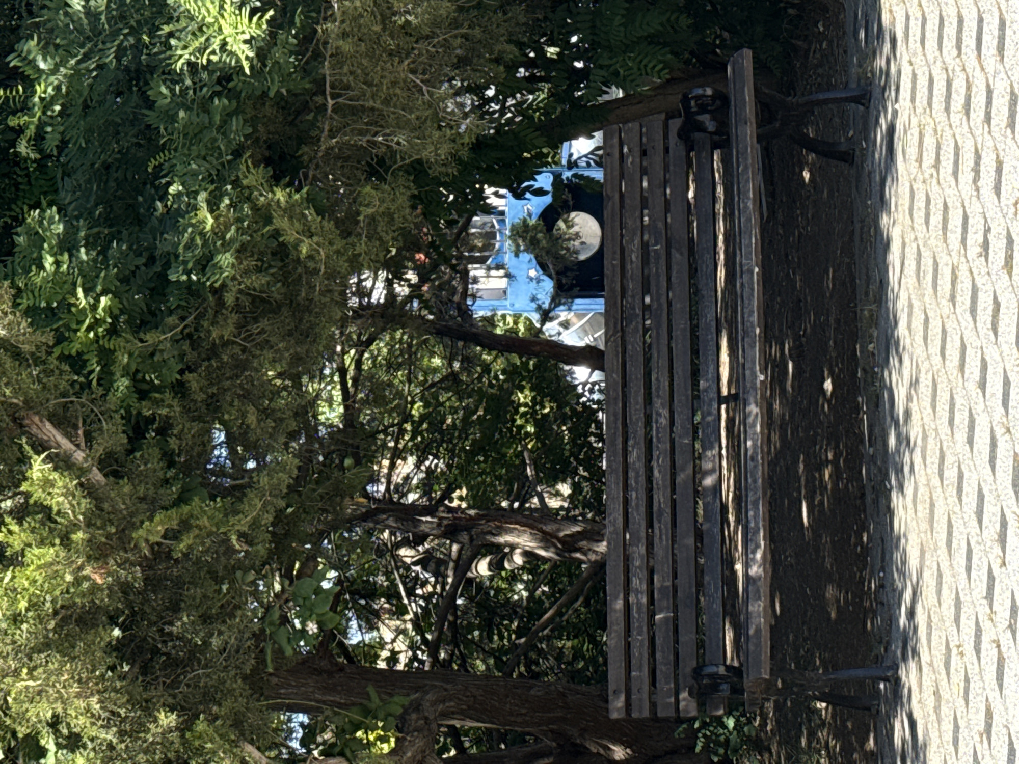 A wooden park bench sits in the shade of lush green trees, on a paved area with a diamond pattern. Behind the bench, a vibrant blue structure with windows is visible, partially obscured by foliage. The overall scene suggests a tranquil outdoor setting, likely a park or garden, in an unspecified urban location.