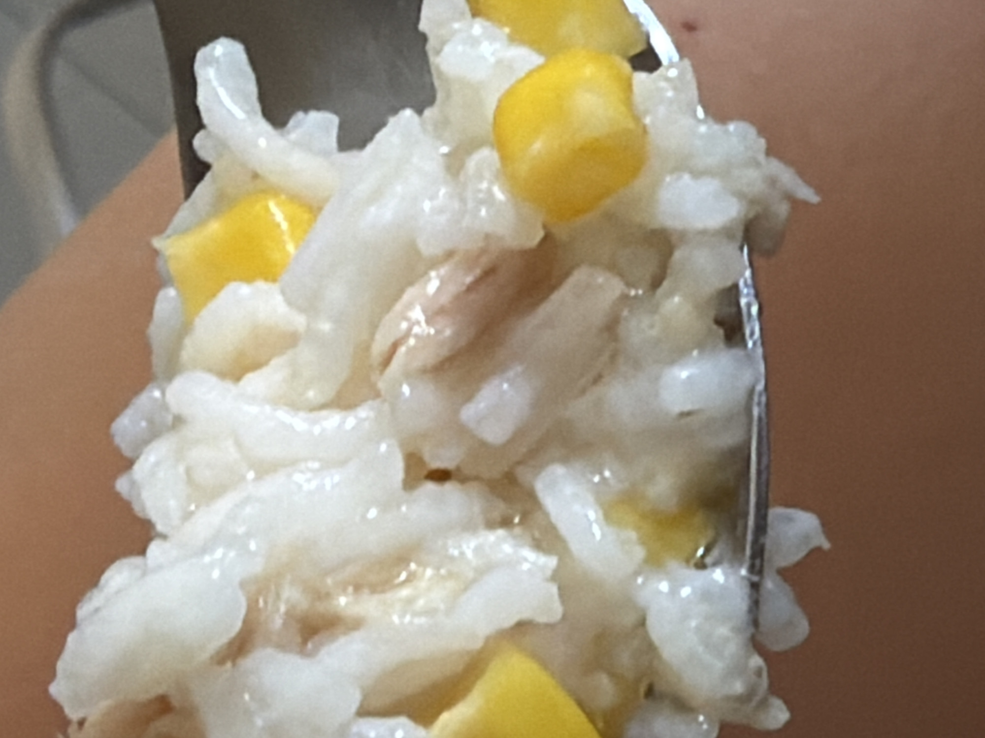 A close-up shot shows a spoon filled with a mixture of white rice, corn kernels, and pieces of shredded chicken. The food is moist and appears to be a serving of rice with chicken and corn. The background is out of focus, showing a person's skin tone. The image was taken in Tersefanou, Cyprus.
