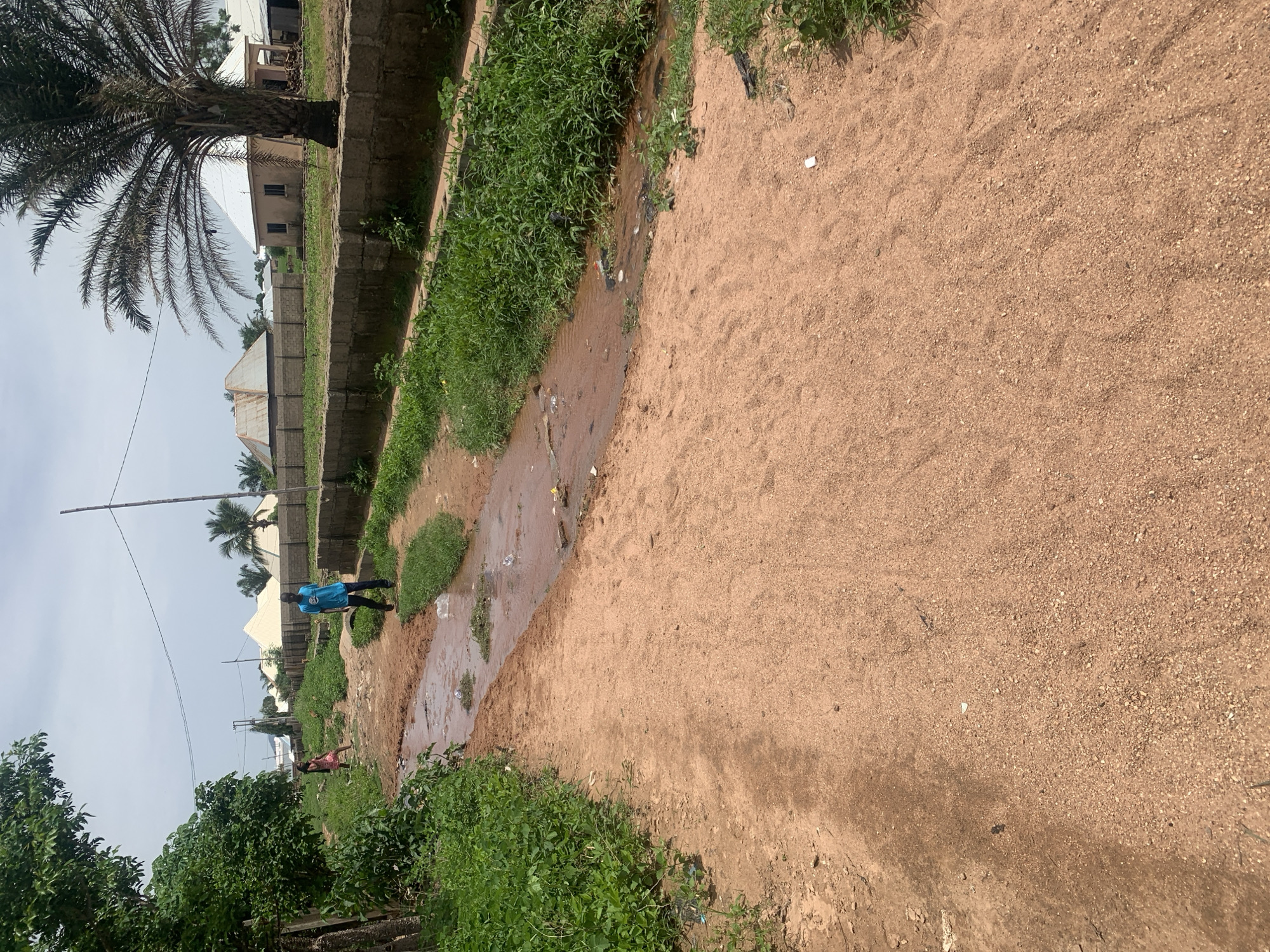 The image depicts a dirt path alongside a shallow, muddy water channel in Jauro Yinu, Nigeria. A young boy wearing a blue t-shirt and dark pants is walking on the path, holding a black object. Further down the path, a young girl in a pink dress is visible. Lush green vegetation lines the left side of the path, while a concrete wall separates the right side of the path from houses and a prominent palm tree in the background. The sky is overcast.