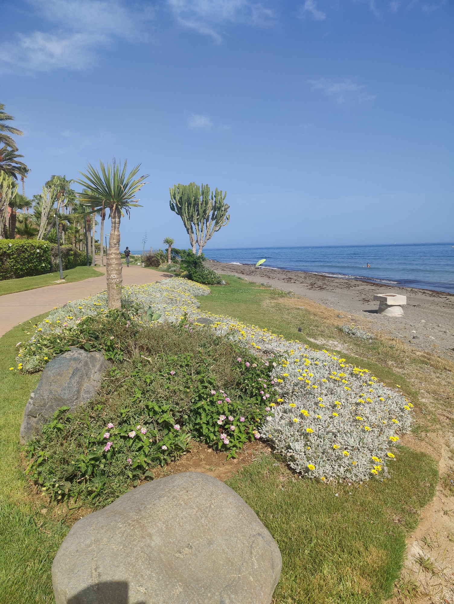 The image depicts a scenic view of a coastal area, likely a park or a resort. In the foreground, there is a paved walkway curving to the left, bordered by lush green grass and flowerbeds filled with yellow and pink blossoms. Large rocks are strategically placed within the garden. A tall palm tree stands prominently near the walkway, with other palm trees and succulent plants visible in the background.
Beyond the greenery, a sandy beach stretches along the coastline, meeting the calm blue sea. A few individuals are present: one person is walking on the walkway, another appears to be in the water, and a third is seated near a light-colored concrete structure on the beach. A bright yellow umbrella is set up on the sand, suggesting a recreational area. The sky is clear blue with a few wispy clouds. The overall impression is one of a tranquil and well-maintained seaside environment.