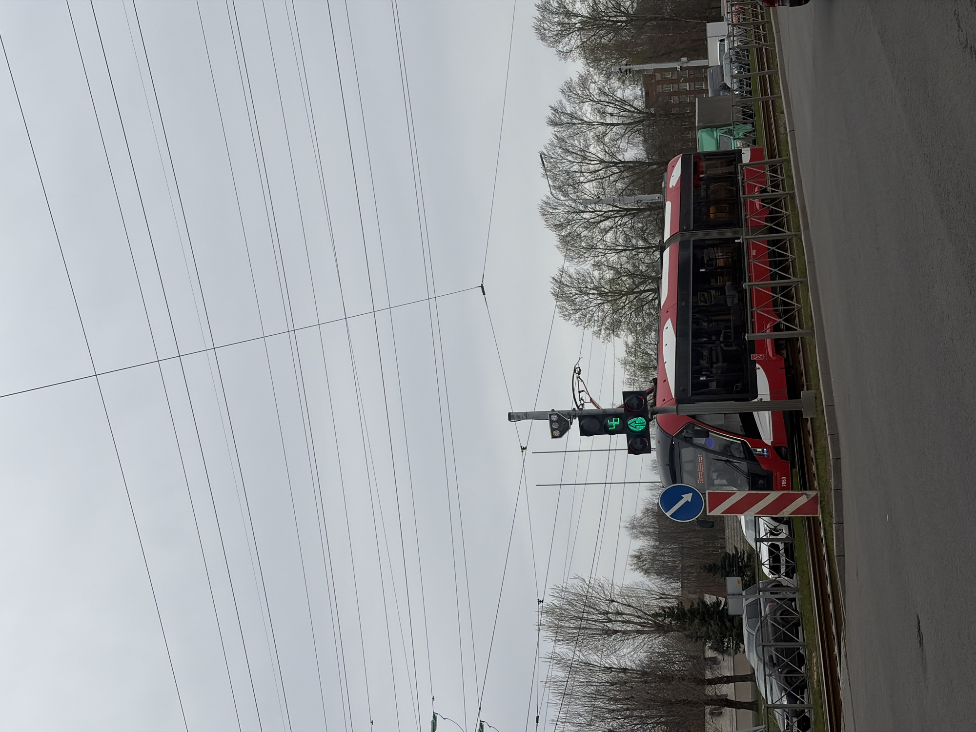 The image shows a street scene in Saint Petersburg, Russia. A red tram is stopped at a tram stop next to a road. There is a street sign showing a blue arrow on the right side of the tram. The traffic lights next to the tram show a green tram signal. A metal fence is separating the tram tracks from the road. Overhead tram wires stretch across the sky, which is overcast. Trees line the background of the scene. Cars are parked on the road next to the fence.