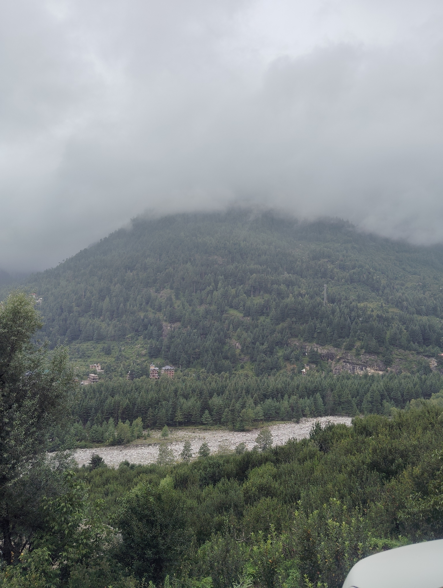 The image depicts a lush green mountain slope in Vashisht, India, shrouded in fog and clouds, creating a dramatic and somewhat mystical atmosphere. The mountain is densely covered with pine trees, with a few scattered buildings visible on the hillside. The lower part of the image shows a wide riverbed filled with stones and a dense foreground of trees and bushes. The overall impression is one of natural beauty and a remote, tranquil setting.