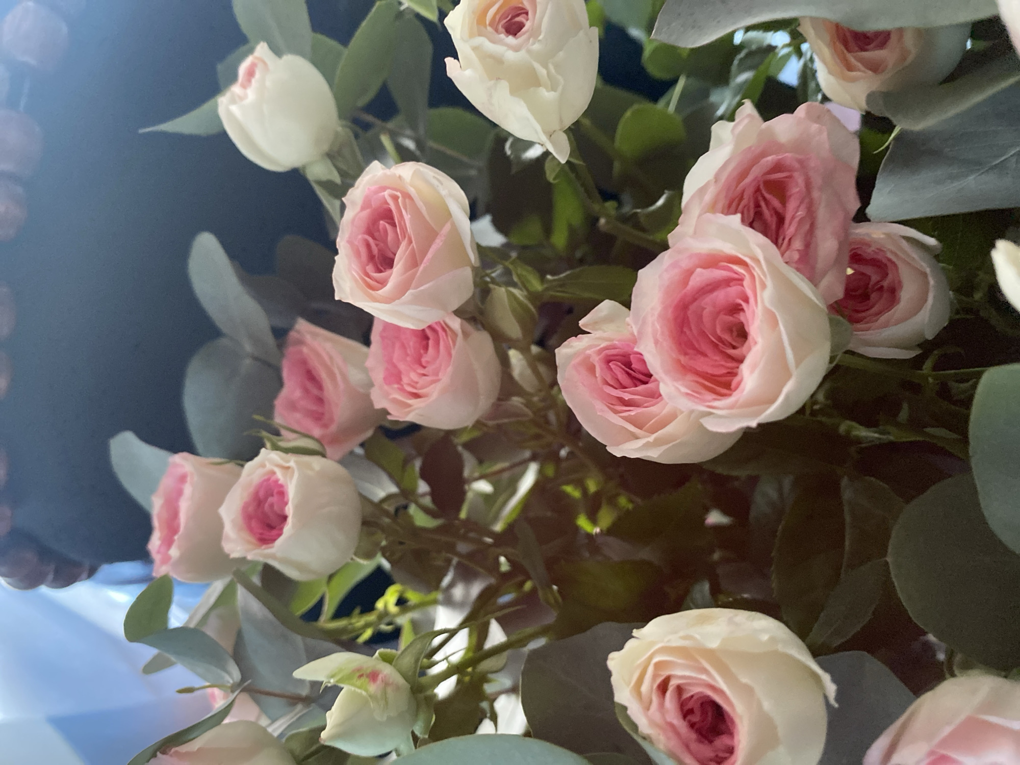 The image is a close-up, vertical shot of a bouquet of roses, predominantly in shades of pink and white, interspersed with eucalyptus leaves. The flowers are tightly packed and appear to be in various stages of bloom, with some fully open and others still forming buds. The lighting is soft, creating a gentle glow on the petals and highlighting the intricate folds of the rose blooms. The background is dark and out of focus, providing a stark contrast that makes the vibrant colors of the flowers stand out. There are no discernible people, actions, or interactions visible. The scene does not provide any contextual clues that would allow for the identification of a specific location within the city of Pavlodar, Kazakhstan.
