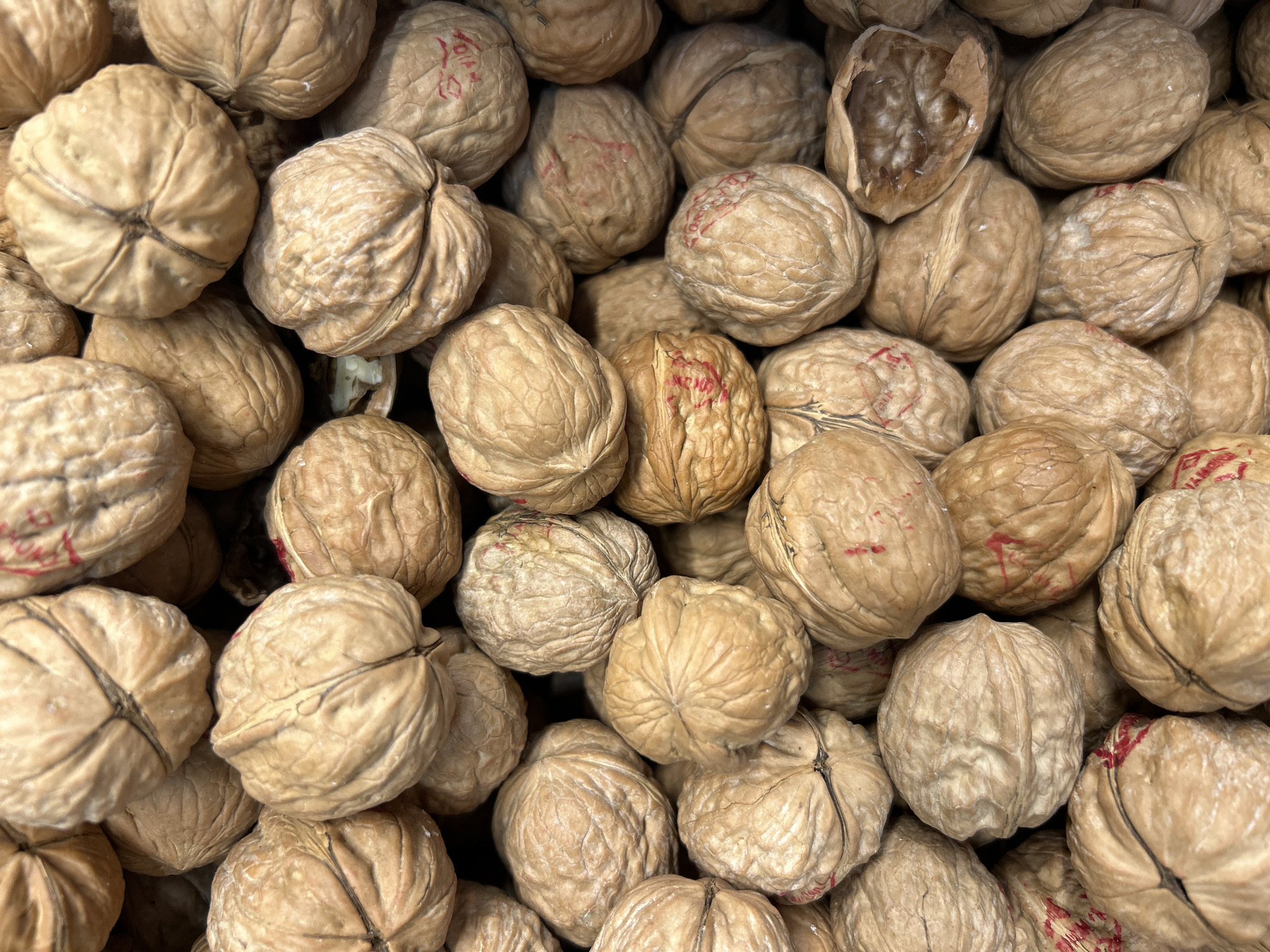 The image is a close-up, overhead shot of a large pile of unshelled walnuts. The walnuts are a light brown to tan color, with visible natural ridges and lines on their shells. Some of the walnuts have faint red markings or stamps on them, possibly indicating origin or batch numbers. The texture appears dry and slightly rough. The lighting is even, suggesting an indoor setting or diffused natural light, and there are no discernible shadows to indicate a specific direction of light. The composition is tightly cropped, focusing entirely on the walnuts, with no background or surrounding environment visible. There are no people, actions, or interactions depicted. The image does not provide any information about the city of Detmold, Germany, or any specific location within it.