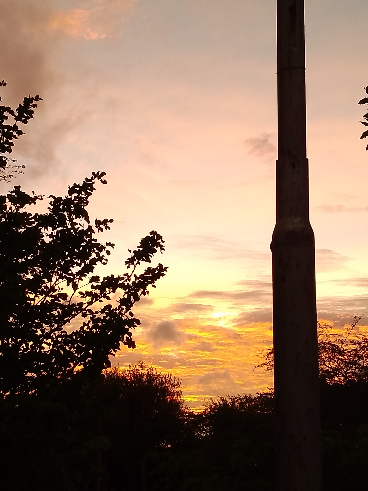 The image depicts a silhouetted tree in the foreground against a backdrop of a vibrant sunset sky over Altagracia, Venezuela. The sky is filled with hues of orange, yellow, and pink, with clouds adding texture and depth. A tall, dark pole, likely a utility pole or lamppost, stands to the right of the frame, also silhouetted against the sky. The bottom portion of the image is dominated by dark silhouettes of foliage and possibly low-lying vegetation, suggesting the perspective is from ground level or slightly elevated. The overall impression is one of a serene natural scene at dusk, with the man-made structure a subtle presence in the landscape.