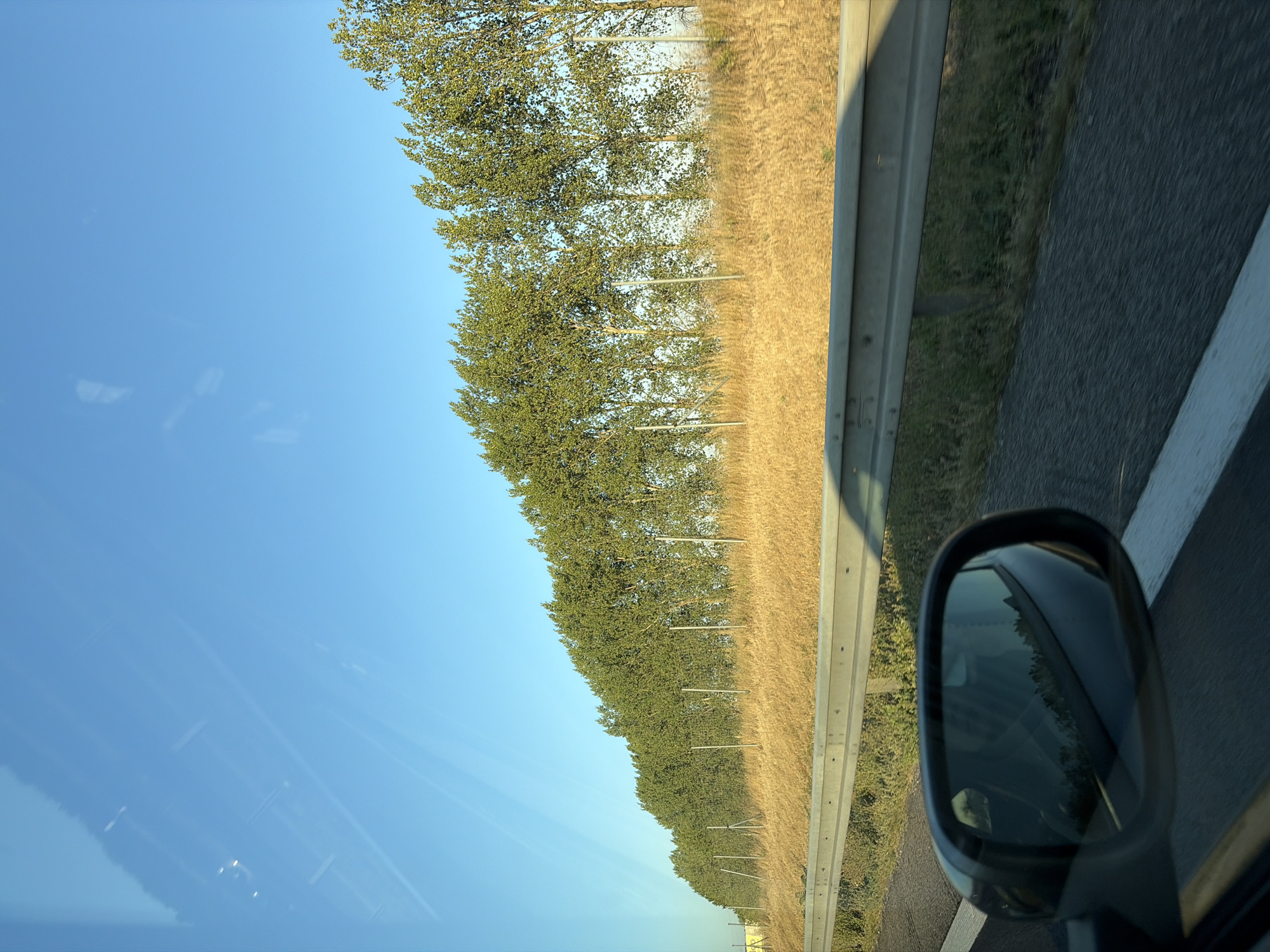 The image captures a view from a moving vehicle on a sunny day. The scene depicts a highway with a guardrail in the foreground. Beyond the guardrail, there is a dry, grassy embankment leading up to a line of tall, green trees. The trees appear to be planted in a row, possibly as a windbreak or for aesthetic purposes. The sky above is clear and blue. A side-view mirror of the vehicle is visible in the lower left corner, reflecting a blurry image of the surroundings. The overall environment suggests a rural or semi-rural setting, characteristic of the outskirts of a town like Báb, Slovakia, known for its agricultural landscapes and proximity to highways. There are no people or explicit signs of urban infrastructure visible in the main frame, reinforcing the impression of a journey through a less populated area.