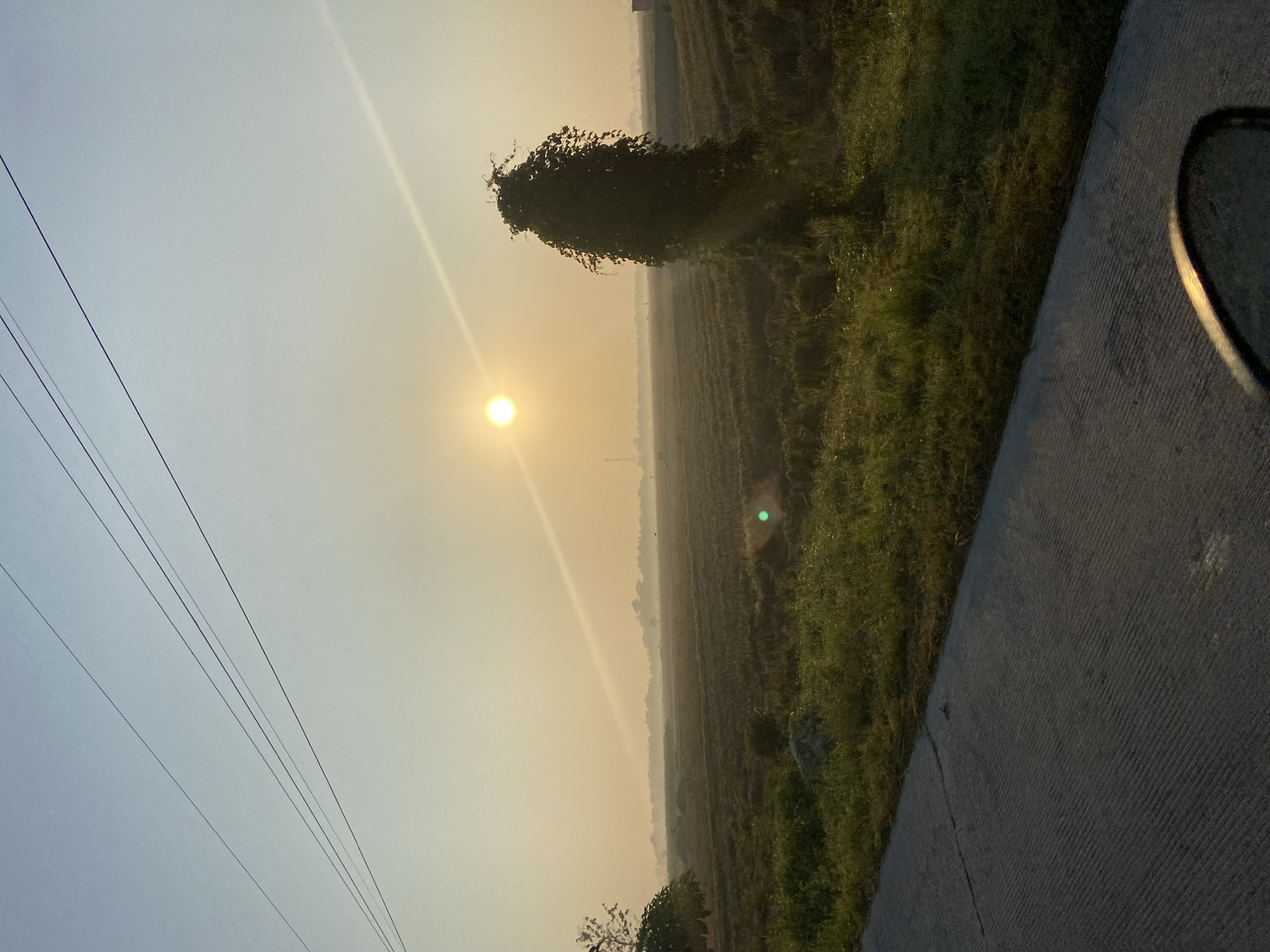 The image depicts a rural landscape at sunrise, likely in or near Sidorejo, Indonesia. A paved road runs along the bottom left of the frame, with grass and vegetation to its right. Beyond the roadside, a field of dry, harvested crops stretches towards a hazy horizon. A tall, leafy tree stands prominently in the mid-ground, casting a shadow. The sun is low in the sky, creating a warm, golden glow and a sunbeam that cuts across the scene. Power lines are visible against the pale blue sky. The atmosphere appears misty or hazy, characteristic of early morning in a tropical region. There are no people visible in the image, and no specific actions or interactions are depicted.