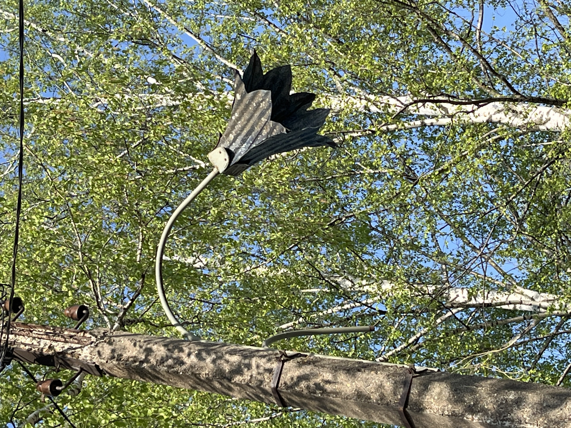 A metal flower decoration is mounted on a utility pole. The flower has dark, pointed petals and a silver stem. The pole is gray and secured with metal bands. Power lines and insulators are visible on the pole. The background consists of a blue sky interspersed with the branches and green leaves of trees. The scene is outdoors and appears to be set in a residential or park area, but the location is not identifiable as Chaikovsky, Russia based on the image.