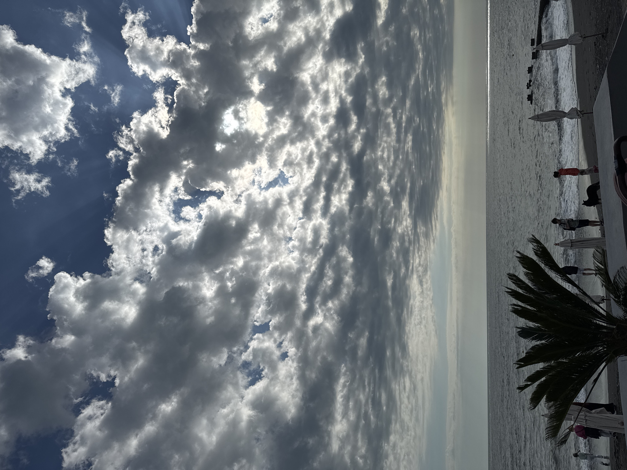 The image captures a coastal scene, possibly in the vicinity of Sochi, Russia, given the likely subtropical climate and Black Sea location. The foreground features a partial view of a palm tree, indicating a warm climate. The scene extends to a beach area where several people are present; some appear to be walking near the water's edge, while others may be interacting with a dog. Beach umbrellas are sparsely distributed along the shoreline, suggesting a tourist or recreational area. The sea stretches into the midground, its surface reflecting the overcast sky. The sky is dominated by heavy cloud cover, interspersed with patches of blue. The cloud formation suggests the presence of different layers of clouds, casting varied shadows across the scene and sea. The overcast conditions create a muted color palette, giving the scene a somewhat subdued and atmospheric quality.