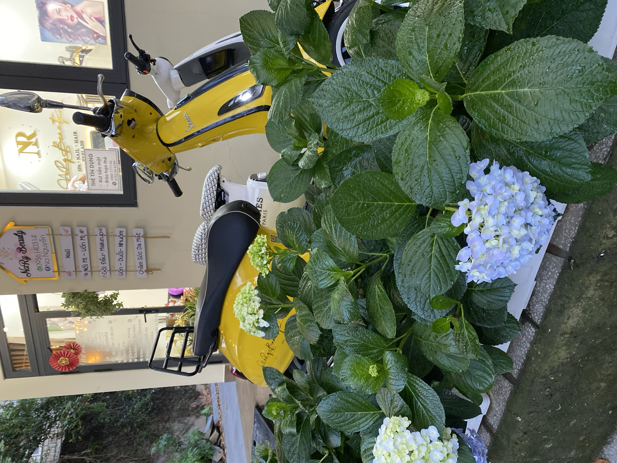The image depicts a yellow and white scooter parked in front of a business named "NaRy Beauty" in Da Lat, Vietnam. NaRy Beauty is a spa offering nail, hair, and makeup services. The business signage includes the phone numbers 0986140314 and a name "Na Nguyễn". Additional signage lists services such as nail extensions, makeup, hair straightening, and skincare. The scooter is positioned near a large potted hydrangea plant featuring both green foliage and blue and white flowers. The ground appears to be damp, suggesting recent rain. The scene is daytime and appears to be taken from a pedestrian perspective.