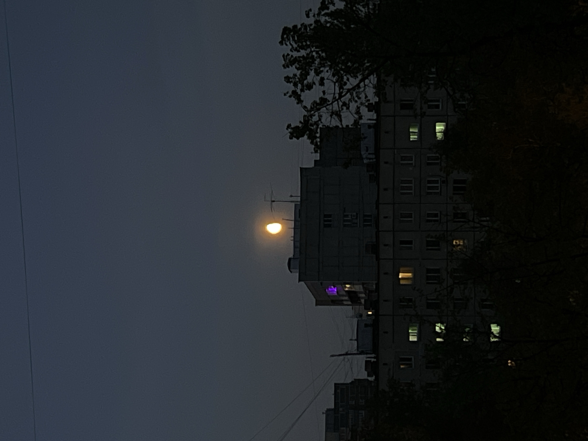 The image shows a building in Khimki, Russia, at night. The building is a multi-story apartment complex. Some windows are lit. A tree partially obscures the view of the building on the right side. The moon is visible in the sky above the building. Power lines are visible.