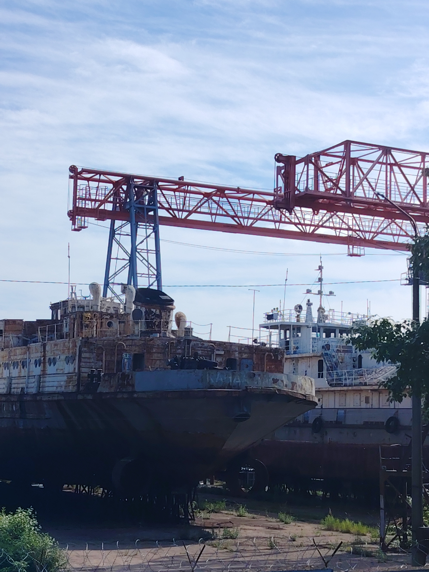 The image displays an industrial shipyard scene in Chaikovsky, Russia, under a bright blue sky with scattered white clouds, indicating daytime. Two large ships, likely cargo vessels or barges, are prominent, appearing to be dry-docked or stationary for maintenance or decommissioning.
In the foreground, a heavily rusted ship dominates the left and central parts of the frame. Its hull shows significant corrosion, peeling paint, and visible signs of age. Faint, weathered numbers and letters are present on its side, including what appears to be "AM 14" or "AHA 14" and a sequence like "00 00 00". Its superstructure, with various fittings and vents, also shows heavy rust.
Behind this vessel, a second, lighter-colored ship is partially visible, featuring a cleaner, white superstructure. Both ships are positioned beneath a large, industrial red gantry crane with blue support pillars, which spans across the upper part of the image, suggesting ongoing heavy work or the capacity for it.
The ground area around the ships consists of dirt and gravel, with patches of green grass and weeds. In the lower foreground, green bushes are visible, and a leafy tree partially obstructs the view on the right side. A barbed wire fence runs along the very bottom of the image, separating the scene from the viewer. The overall atmosphere is one of an active or recently active industrial port or shipyard.