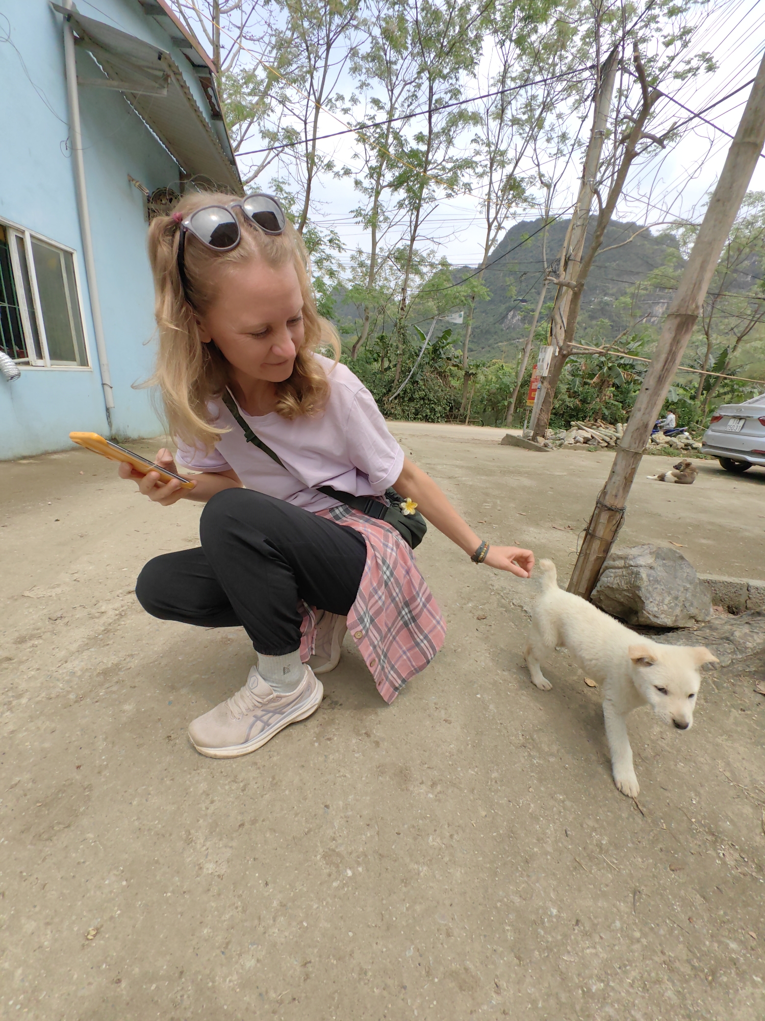 A woman with blonde hair, wearing sunglasses on her head, a pink t-shirt, black pants, and pink sneakers, is crouched down outdoors in Xã Đàm Thủy, Vietnam. She is looking at a cell phone in her left hand while petting a small, white dog with her right hand. She has a pink plaid shirt tied around her waist and a small bag on her shoulder. The ground is dirt or concrete. Behind her is a light blue building with a window. In the background, there are trees, a mountain, power lines, and a sliver car parked further away. There is a second dog laying in the background further away from the car.