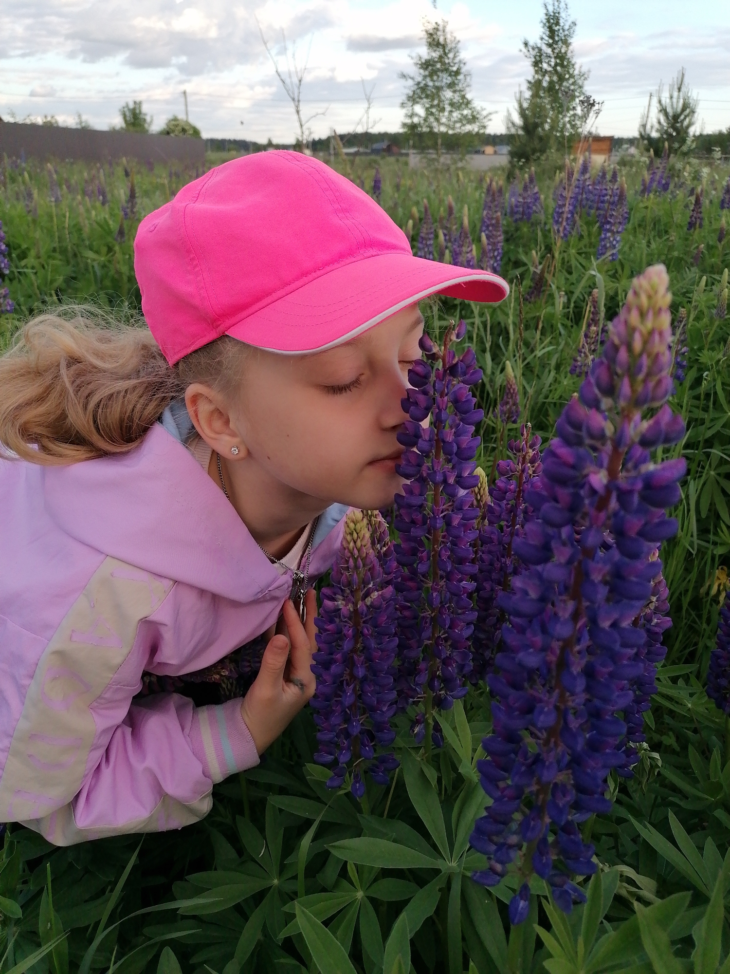 A young girl with blonde hair tied in a ponytail is captured in a close-up, outdoors amidst a field of purple lupine flowers. She is wearing a bright pink baseball cap and a light pink hooded jacket with lighter-colored striped accents and faint, stylized text on the sleeve. Her eyes are closed, and her face is positioned close to a cluster of purple lupine flowers, suggesting she is smelling them. Her hands are gently placed near her neck or chest area.
The background reveals more of the expansive field of vibrant purple lupines and lush green foliage. In the distance, several trees (appearing to be a mix of deciduous and coniferous) stand against an overcast sky dotted with light clouds. Hints of distant structures or a fence line are visible on the horizon. The lighting is soft and diffused, indicating an overcast day or possibly late afternoon. Notable details include a small, round stud earring in her visible ear and a delicate necklace with a pendant around her neck. The overall mood conveyed is one of peaceful sensory engagement with nature. No clearly readable text is visible.