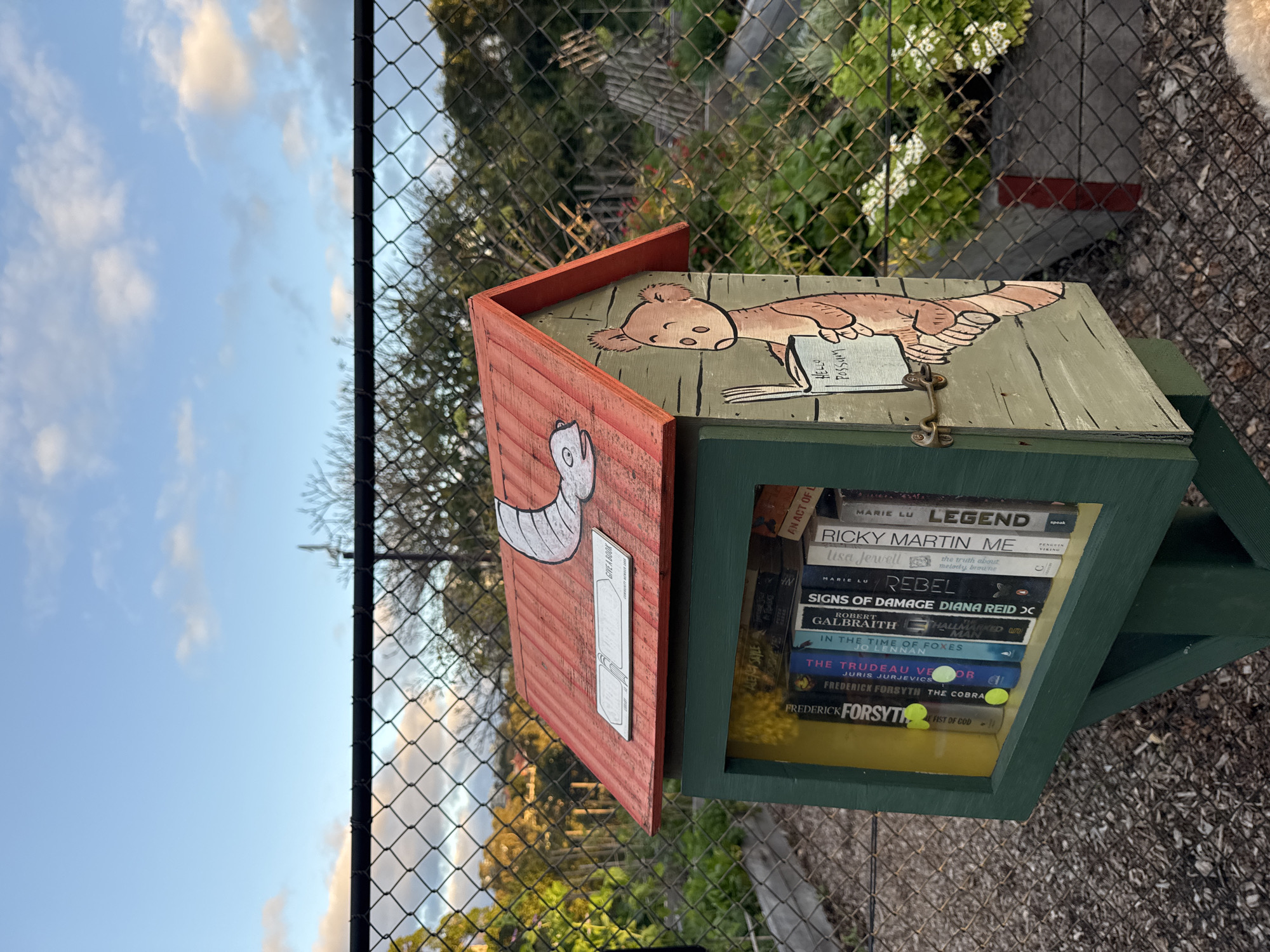 The image shows a small, charming, green and red wooden book-sharing box, decorated with cartoonish drawings of a koala reading a book and a stylized snake. The box is situated outdoors, in what appears to be a community garden or park, evidenced by the raised garden beds and foliage visible in the background. A chain-link fence encloses the area, and the sky above is a clear blue with scattered clouds.
Inside the book-sharing box, a selection of books is neatly arranged. Some of the visible titles include "Frederick Forsyth - Fist of God," "Frederick Forsyth - The Cobra," "The Trudeau Vector," "In the Time of Foxes," "Signs of Damage," "Rebel," and "Legend." Two yellow tennis balls are also placed inside the box.
The overall scene suggests a public space designed for community engagement, where people can share books. The lighting indicates it might be late afternoon or early evening, given the warm glow on the foliage behind the fence. The image appears to be taken in Sydney, Australia, as suggested by the presence of Australian native animals depicted on the book box and the types of plants visible in the garden.