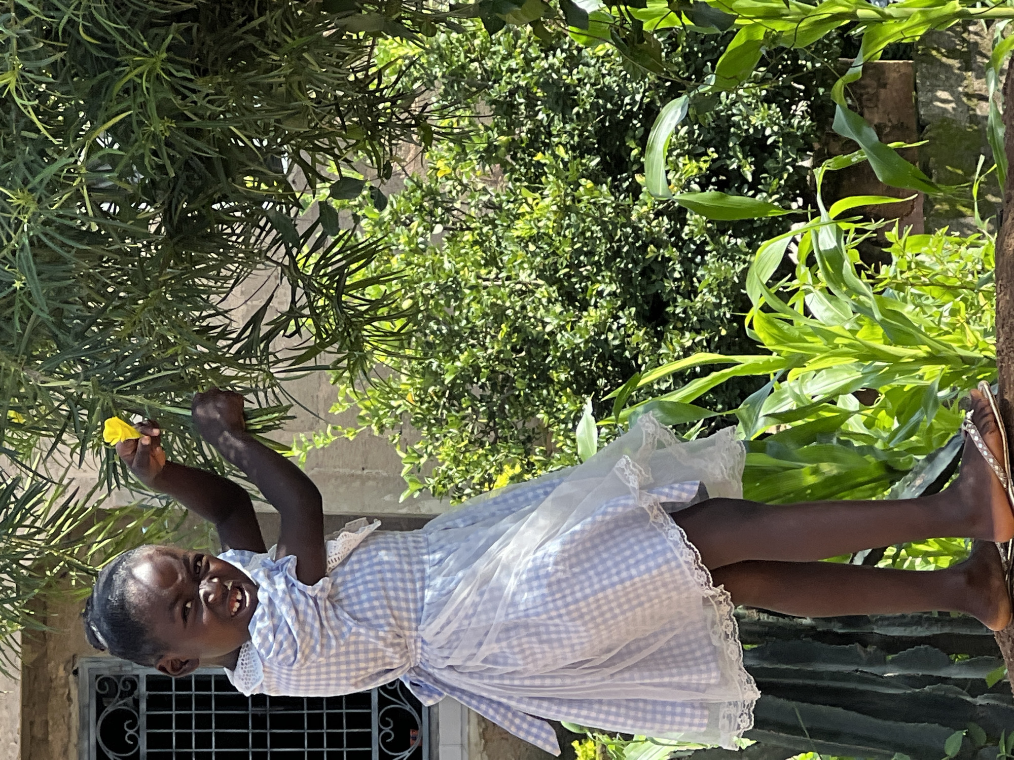 A young Black girl stands outdoors on an elevated surface, possibly a wall or mound, against a backdrop of lush greenery and a stone building with a barred window. She is wearing a light blue and white gingham dress with a lace collar and trim, and sheer ruffled layers on the skirt. Her hair is pulled back in a bun, and she is smiling widely, with her mouth open and teeth visible. In her right hand, she holds a small yellow flower. Her left hand is raised, reaching towards a leafy branch. The environment appears to be a garden or courtyard in Jos, Nigeria. The lighting suggests it is a sunny day.