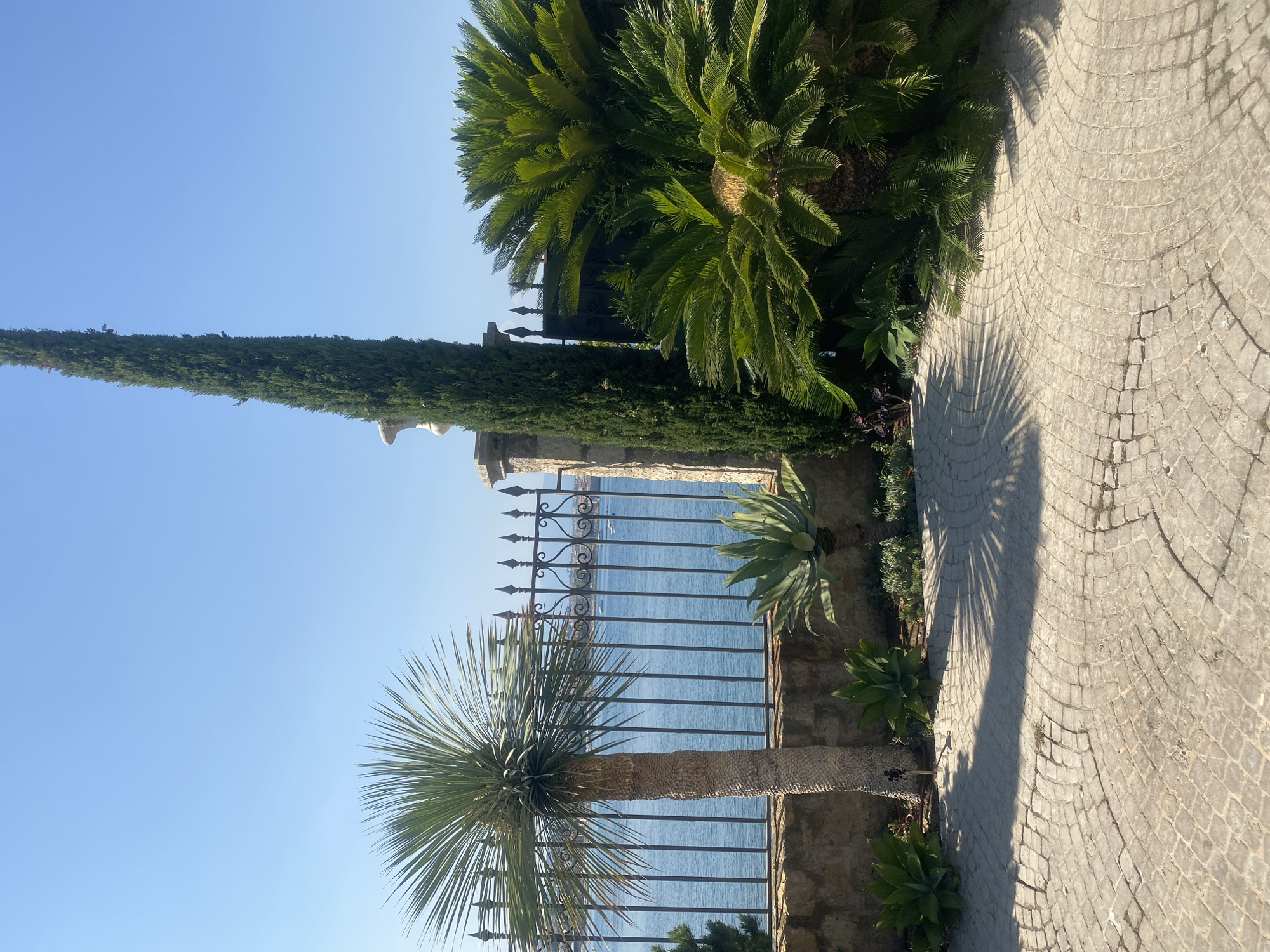A paved courtyard with a cobblestone pattern is in the foreground. The courtyard is bordered by a stone wall and a decorative metal fence, beyond which is a body of blue water. Various plants are visible, including a palm tree, a tall, slender evergreen tree, and several palm-like plants. The sky is clear and blue. The scene appears to be a sunny day. This location is in Antibes, France, likely a residential area or a garden overlooking the sea. There are no people or animals present.
