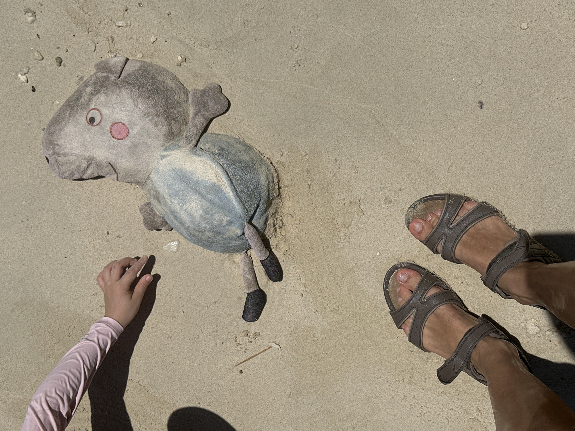 The image depicts a top-down view of a sandy beach in ตำบลเกาะพะงัน, Thailand. A plush toy, resembling a pig character, lies face down in the sand. Its legs, clad in dark material, are splayed outwards. To the left of the toy, a child's arm, wearing a pink long-sleeved garment, reaches towards the sand. In the foreground, a pair of grey sandals are worn by an unseen individual, their feet partially visible. The sand is speckled with small shells and debris. The lighting suggests it is daytime, with shadows cast across the scene.