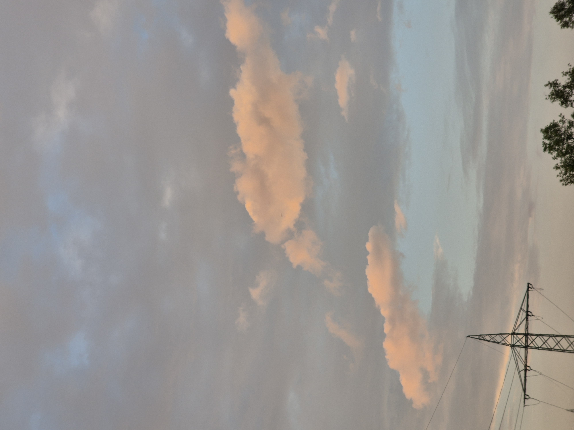 This image shows a sunset sky with clouds tinged pink and orange. A large power transmission tower is visible in the lower left quadrant, with power lines stretching horizontally across the frame. The tops of trees can be seen along the bottom edge of the image. The image was taken in Ergolding, Germany.