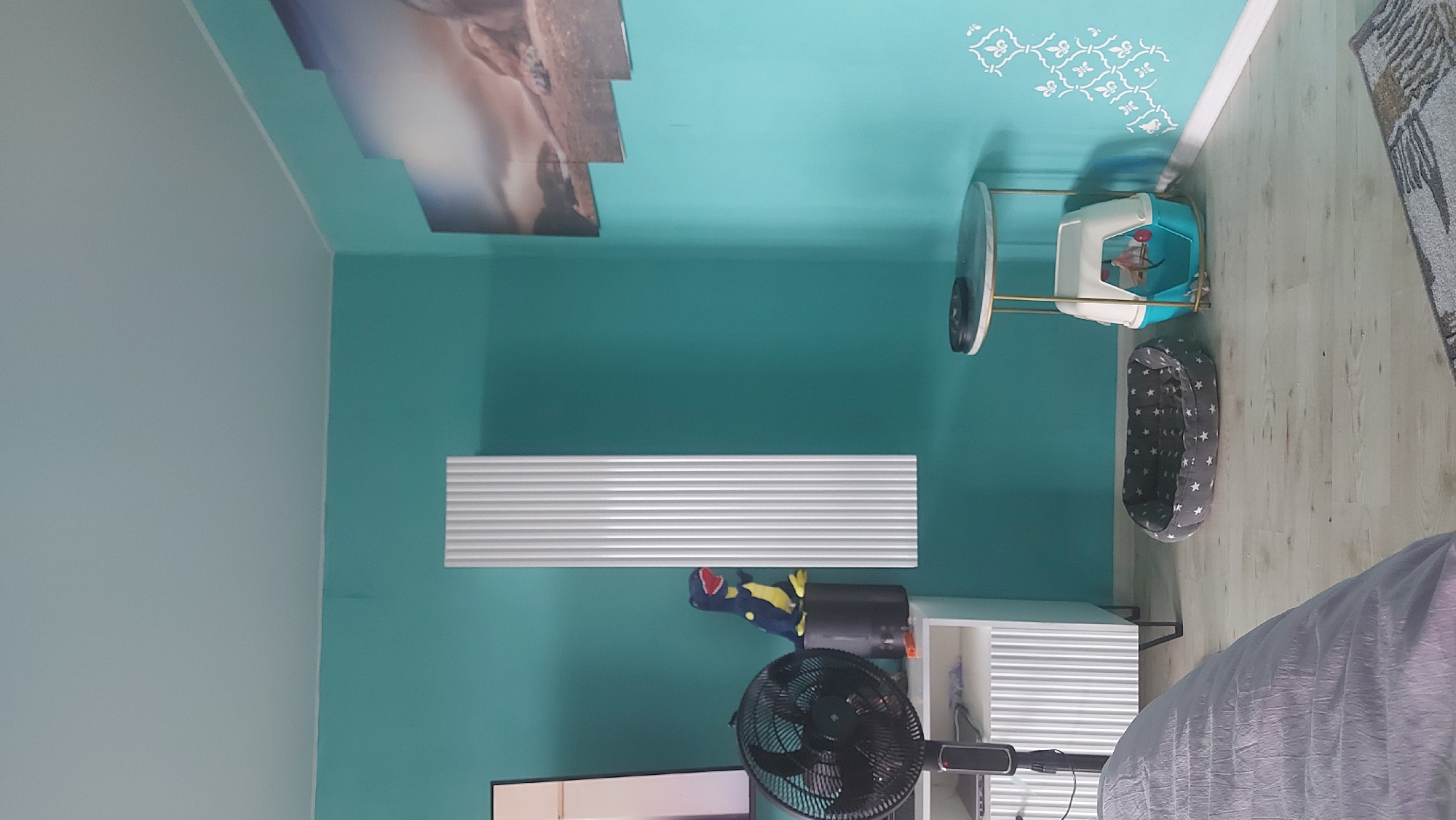 This is a medium shot, taken from a low angle, of an interior room, possibly a living room or bedroom. The walls are painted a vibrant teal color, and the ceiling is a lighter shade of blue. On the left side of the image, a black oscillating fan stands in front of a white cabinet with vertical ribbed doors. A blue and yellow plush dinosaur toy is perched on top of a black cylindrical object, which is also on the cabinet.
Dominating the center of the wall is a tall, narrow, white radiator with a ribbed surface. To the right of the radiator, a small, round side table with a marble-effect top and gold legs holds a black object. Beneath the table is a blue and white cat carrier, with a pink toy inside. In front of the cat carrier is a round, grey pet bed adorned with white stars.
Further to the right, on the wall, is a triptych art piece depicting a lion in a natural landscape. The floor is covered with light-colored laminate flooring, and a portion of a grey and white patterned rug is visible in the lower right corner. A gray comforter or blanket covers a surface in the foreground on the left. There are no people visible in the scene. There is no information in the image to suggest the location is Vladivostok, Russia.