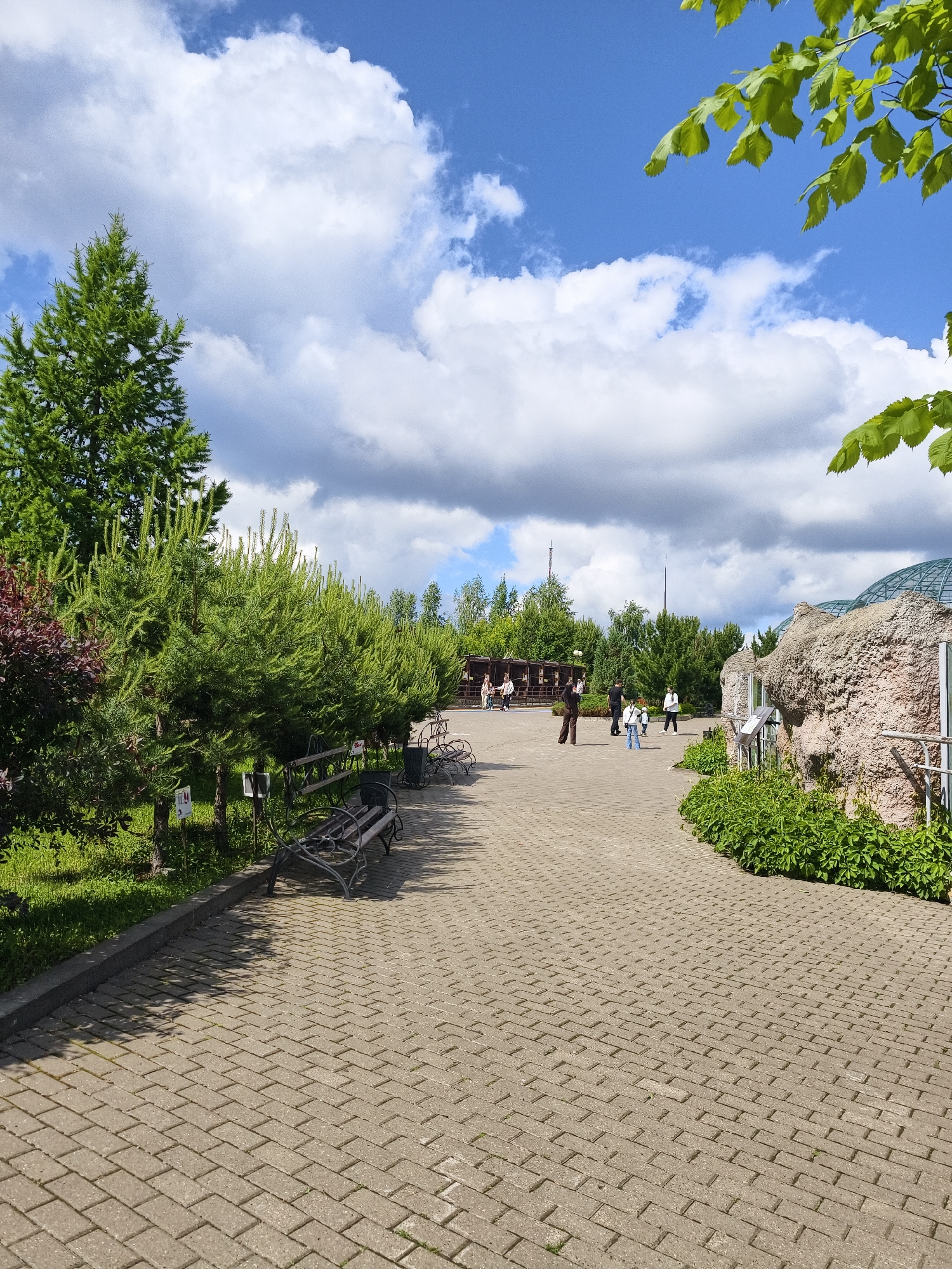 This image captures a bright, partly cloudy day in an outdoor pedestrian area in Izhevsk, Russia, likely a park, botanical garden, or zoo. A wide paved path, made of interlocking grey pavers, stretches from the foreground into the distance.
On the left side of the path, there's a lush green landscape featuring various trees and shrubs. A large, vibrant green conifer stands prominently in the midground, with a row of smaller, spiky conifers extending along the path. A reddish-leafed bush adds a touch of color near the larger tree. Several dark metal park benches are placed along the path, currently unoccupied.
On the right side, the path curves around a unique building or structure characterized by its rough, rock-like textured exterior and a partial, transparent glass dome roof. Green foliage and low-lying bushes are planted around the base of this structure.
In the midground and background, several people are visible, casually walking or standing on the paved area. They appear to be adults and a few children, dressed in everyday attire, suggesting leisure activity. Further in the background, more trees line the horizon, and faint architectural elements can be seen.
The sky is a mix of bright blue with large, white, fluffy cumulus clouds, though some darker clouds are also present, adding depth to the scene. The bright daylight casts clear shadows on the paved ground, indicating a sunny day. No discernible text is legible on any signs or structures.