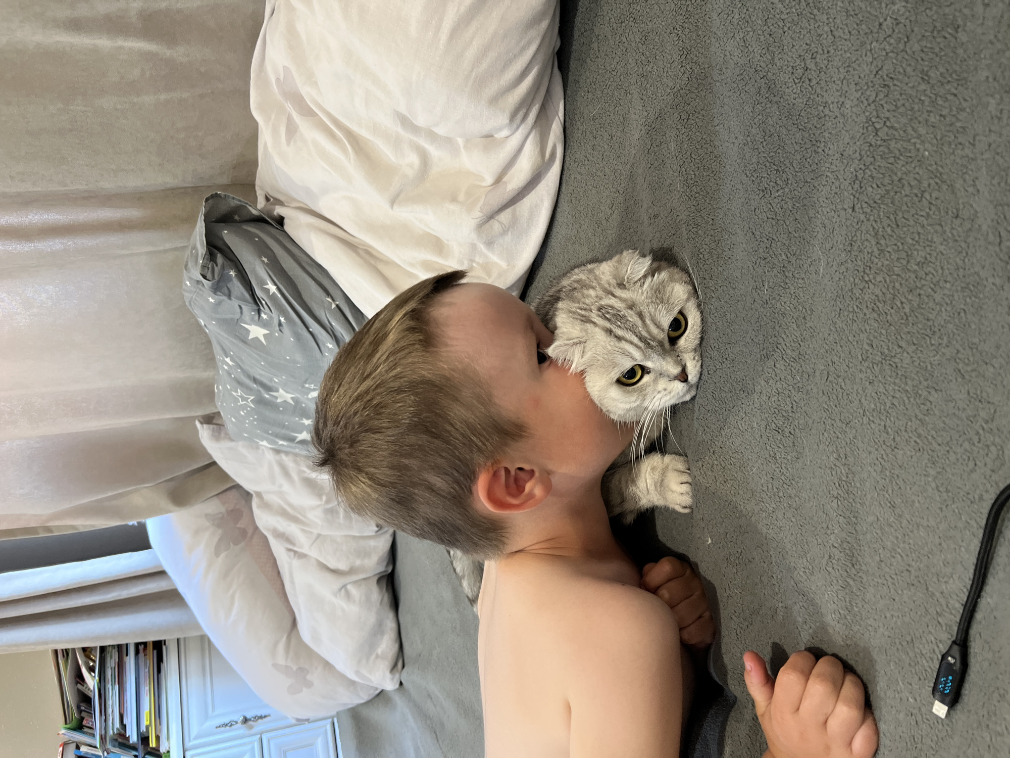 In this overhead shot, a young boy with light brown hair is shown in bed with a silver tabby cat. The boy is shirtless and appears to be kissing the cat's head. The cat, a Scottish Fold breed with striking yellow eyes, looks directly at the camera. They are both lying on a grey blanket, surrounded by pillows. One pillow has a pattern of white stars on a dark grey background. Another white pillow has a faint floral pattern. A shelf filled with books and what appears to be a white cabinet are visible in the background, suggesting a bedroom setting. A black USB cable with a small screen displaying blue text is on the grey blanket to the right of the cat. The lighting suggests it could be daytime indoors. The scene evokes a sense of warmth and affection between the child and the pet. The visible text on the USB cable is unreadable.