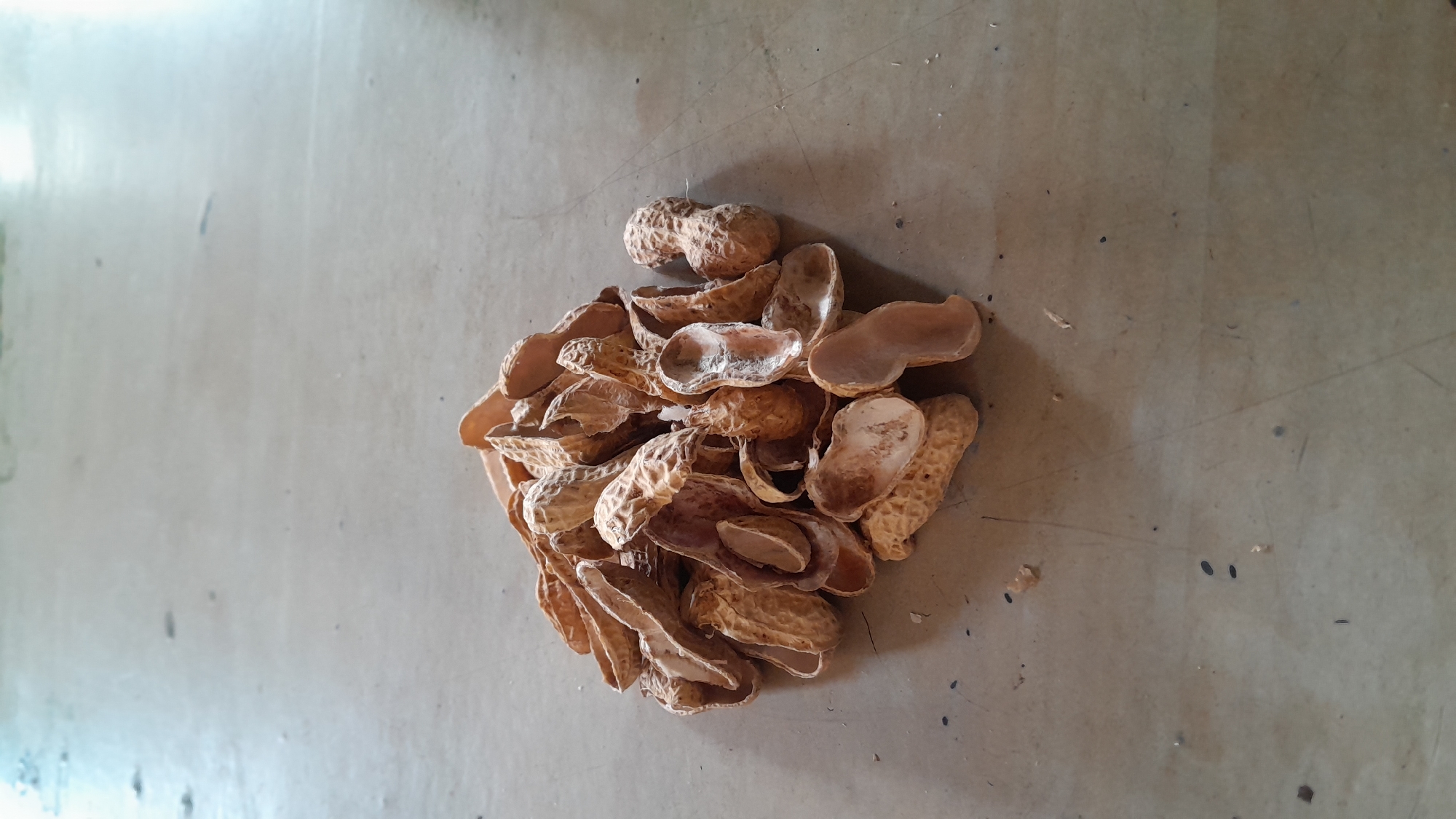 A pile of peanut shells lies on a light-colored, speckled surface, possibly a floor or table. The shells are mostly tan and appear dry and brittle, with some showing remnants of the peanuts. The lighting suggests an indoor environment with natural light casting shadows. The location is described as Kasiman, Indonesia.