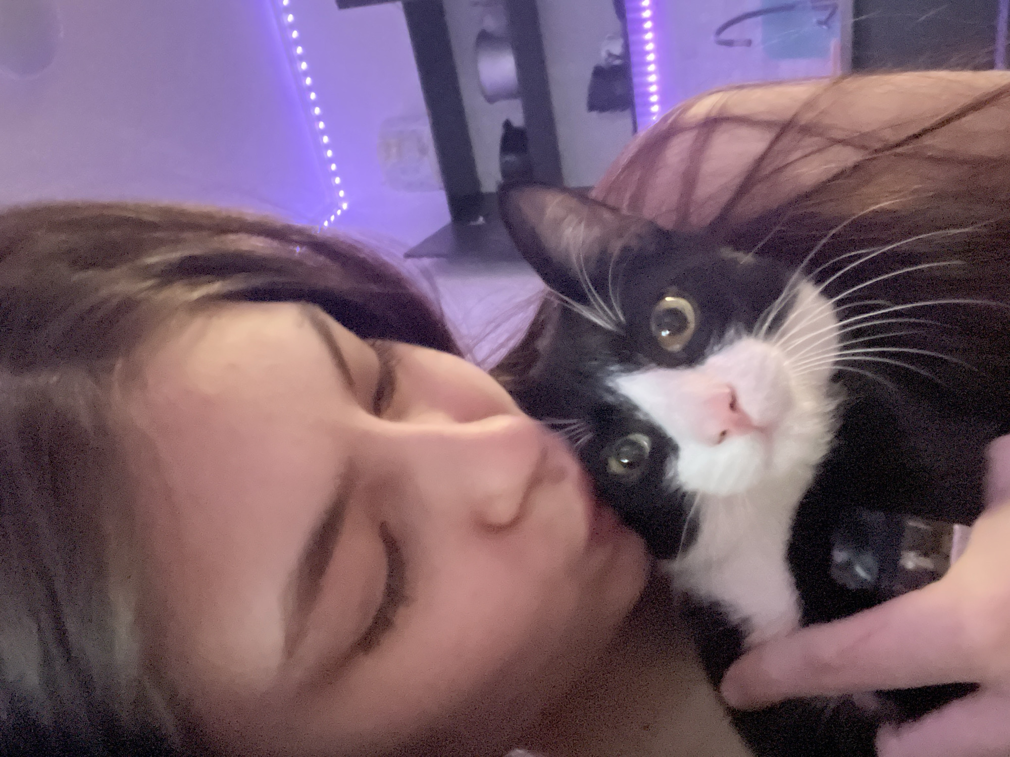 A selfie shows a young woman with her eyes closed, positioned cheek-to-cheek with a black and white tuxedo cat. The cat has green eyes and a pink nose. A human hand gently touches the cat. The background is blurred, but a monitor on a stand and string lights can be seen. The lighting is purplish. The location is unlikely to be Saint Petersburg, Russia.
