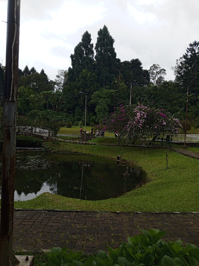 The image displays a tranquil park or garden scene in Khe Sanh Commune, Vietnam, under an overcast sky. In the immediate foreground, a dark, brick-paved path provides a base, partially obscured by green foliage. Directly beyond, a dark, still pond occupies the left and central midground, its surface subtly reflecting the muted sky and surrounding greenery. The pond's edge is lined with neatly trimmed green grass.
A paved pathway, lighter in color than the foreground bricks, curves around the pond in the midground. To the left, a small, arching bridge with white railings spans a section of water, connecting different parts of the path. On the path near the bridge, several individuals (approximately 3-5) are visible, either standing or casually moving. A cluster of vibrant pink and purple flowering bushes adds a splash of color to the midground, with a tall, slender streetlamp positioned nearby. Behind these bushes, a few motorcycles are parked along the path. On the far right, a white-railed fence can be seen bordering another section of the park.
The background is dominated by a dense array of trees, featuring tall, dark green conifers with distinctive conical shapes, interspersed with other lush, leafy trees. A rusted utility pole partially obstructs the view on the far left. The sky is uniformly grey and cloudy, suggesting a cool, diffused daylight without direct sunlight. The scene conveys a sense of peaceful natural beauty with understated human presence. No discernible text is visible within the image.