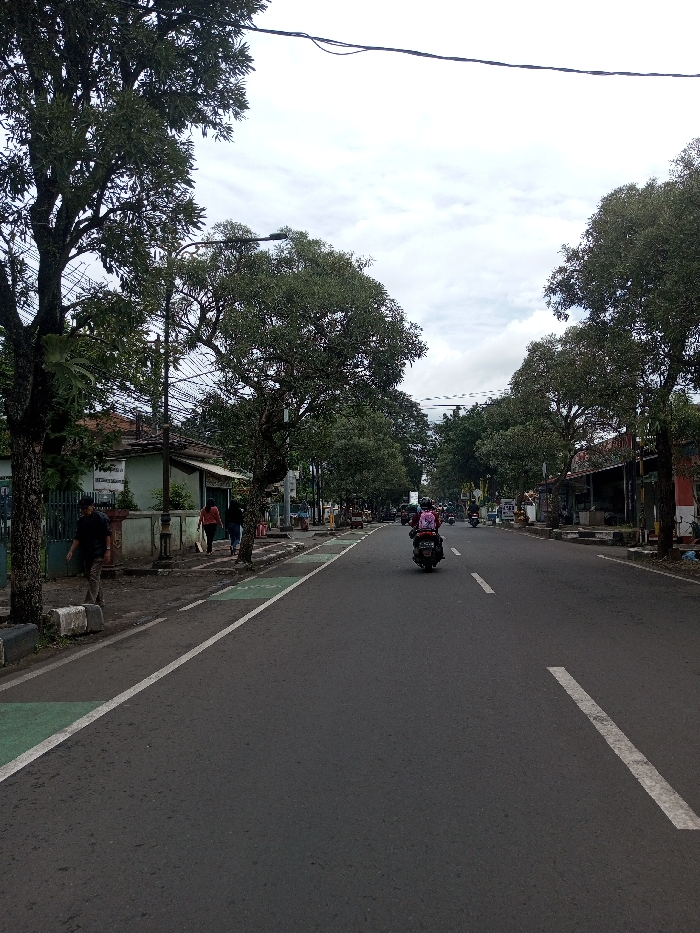 The image displays an asphalt street scene in Kodarapalli, India, under an overcast sky. The street is lined on both sides by numerous trees with dense green foliage. Overhead utility wires are visible across the upper portion of the frame.
The road features a main traffic lane with a broken white center line and a dedicated lane on the left, marked with green paint and separated from the main lane by a solid white line. Adjacent to the left lane is a sidewalk.
In the foreground, a dark-colored motorcycle is centrally positioned, traveling away from the viewer, carrying two individuals wearing helmets. The passenger has a pink backpack. Additional vehicles are visible further down the street in the distance.
On the left sidewalk, one individual wearing a dark shirt and light trousers walks away from the viewer. Two other individuals are observed walking further along the same sidewalk. Partially visible behind the trees on both sides of the street are various buildings, including a light green building with a tiled roof on the left. Streetlights are interspersed among the trees.
