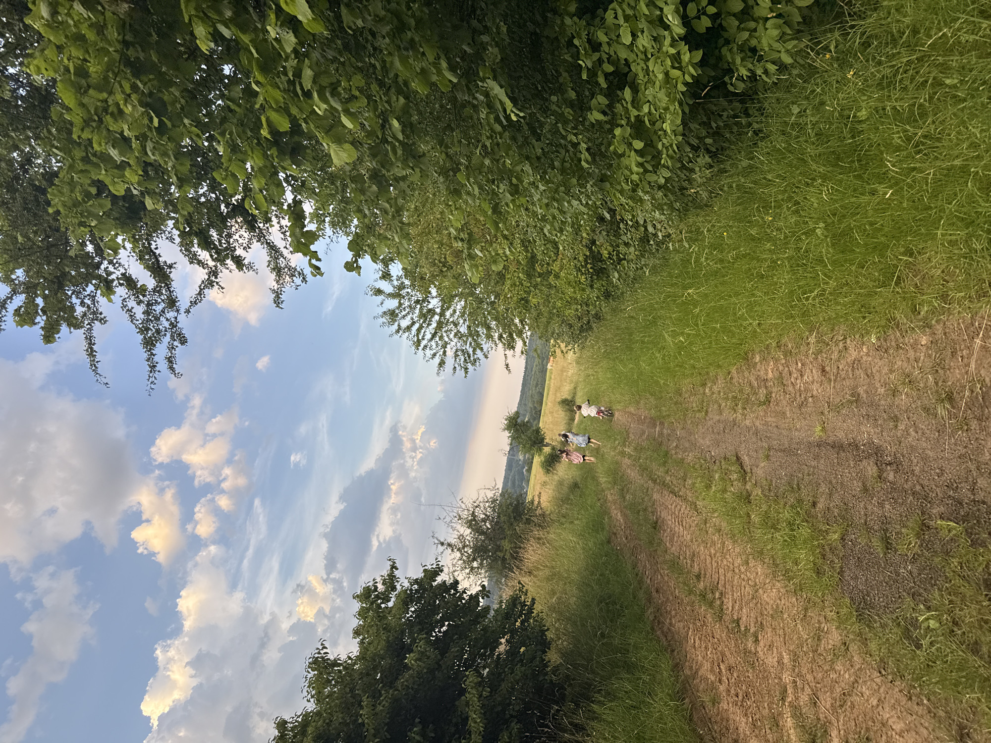 Three young figures are walking away from the viewer on a dirt path in a rural, outdoor setting. The figure on the right appears to be on a small bicycle. They are surrounded by tall green grass on either side of the path. To the right of the path, a dense line of lush green trees and foliage creates a visual boundary. To the left, the landscape opens up to a field with some scattered trees and rolling hills in the distance. The sky above is blue with scattered white and golden clouds, suggesting late afternoon or early evening light. The location is identified as Beltershain, Germany.
