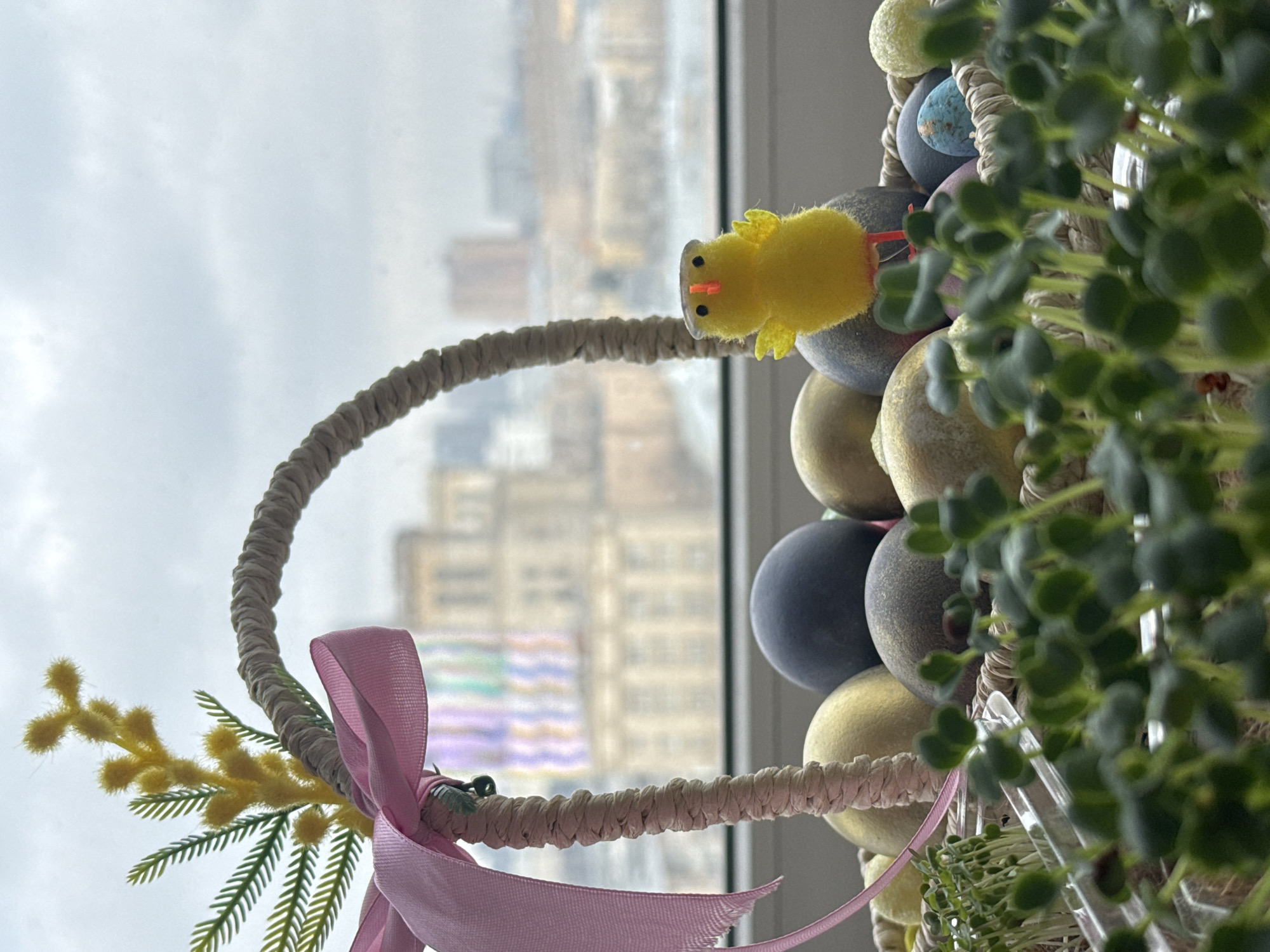 A close-up, tilted, and slightly out-of-focus shot shows an Easter basket. The basket is filled with colored eggs. A small yellow chick adorns one of the eggs. A pink ribbon and some yellow mimosa are tied to the handle of the basket. In the background, through a window, the city of Khimki, Russia, is visible on an overcast day.