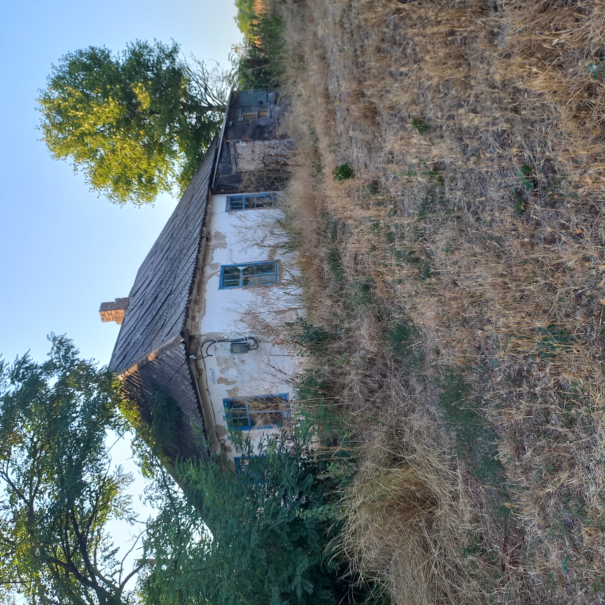 The image shows an abandoned, weathered house situated in an overgrown, dry grassy area. The house has a corrugated roof and white walls with peeling paint. Blue-framed windows are visible, some of which appear broken or damaged. A brick chimney stands on the roof. Adjacent to the main structure is a smaller, darker addition, possibly a shed, also showing signs of disrepair. Lush green trees and foliage surround the property, contrasting with the dry, yellowed grass in the foreground. The scene is set under a clear blue sky, suggesting daytime. The overall impression is one of neglect and abandonment. The location is identified as Klyntsi, Ukraine.