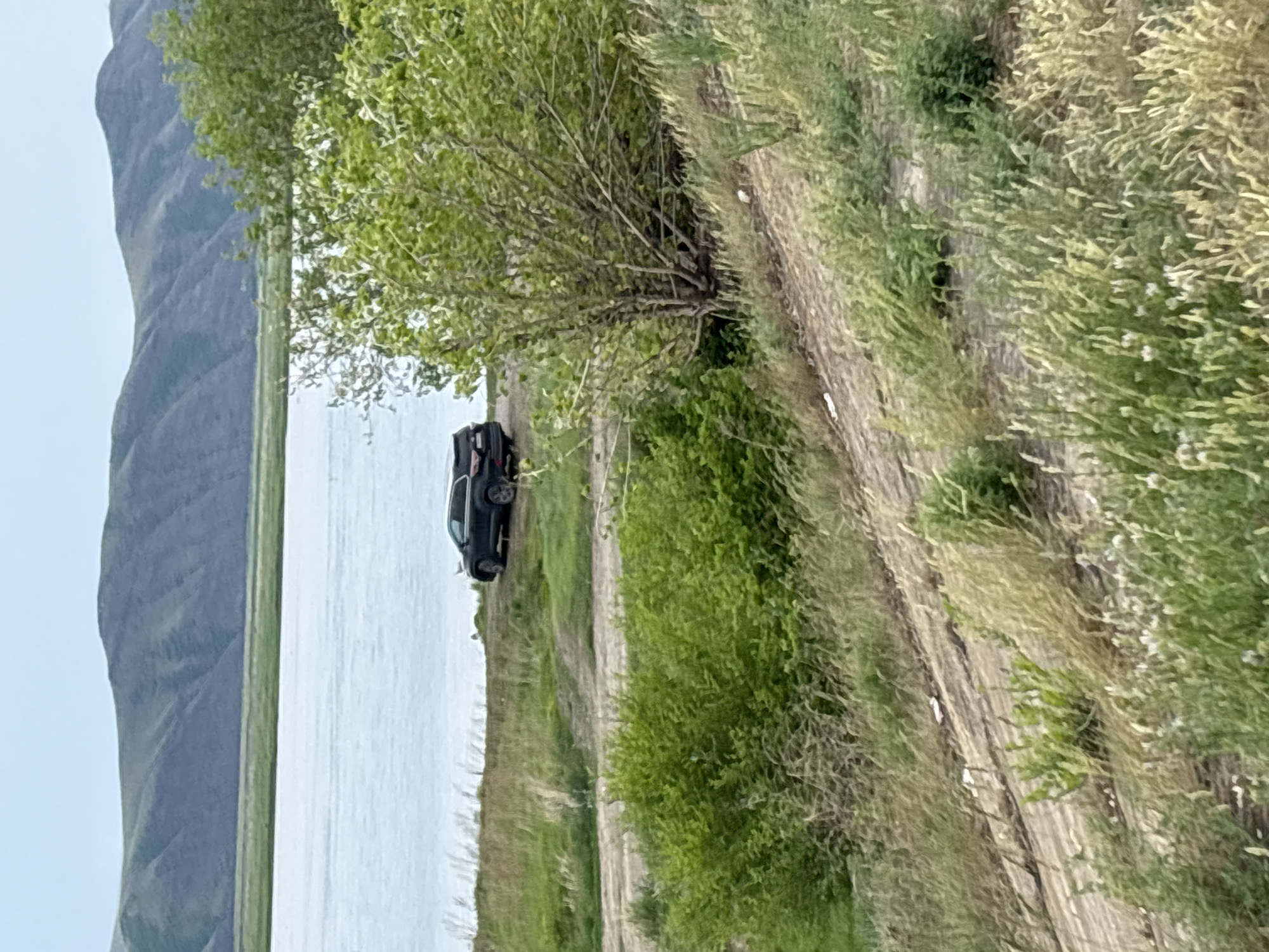 The image depicts a natural landscape near Ust-Abakan, Russia, featuring a body of water, rolling hills in the background, and lush greenery. A dark-colored SUV is parked on a dirt road adjacent to the water. The foreground is dominated by tall grasses and bushes, suggesting a rural or undeveloped area. The overall scene is tranquil and appears to be captured during daylight.