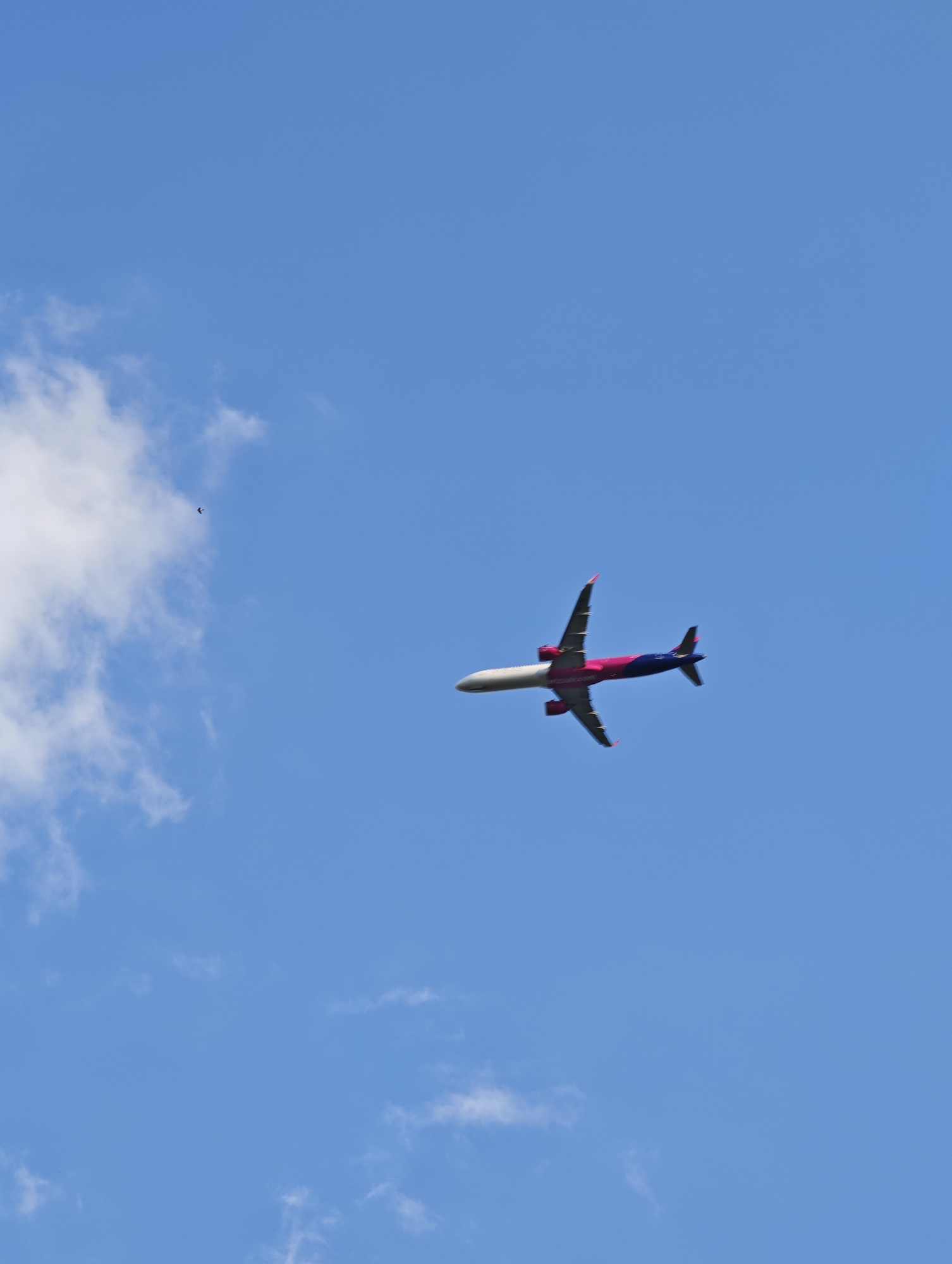 An airplane with magenta and navy blue accents is flying in a clear blue sky. A few scattered clouds are visible in the sky, with one wispy cloud formation on the left side of the image and a smaller cloud to the right. In the upper left quadrant of the image, a small bird is flying. The airplane is angled, with its nose pointing slightly downwards, suggesting it is in descent or banking. The airplane's wings are extended, and its engines are visible beneath the wings. The overall scene is one of a bright, sunny day with good visibility, consistent with conditions often found over Sofia, Bulgaria.