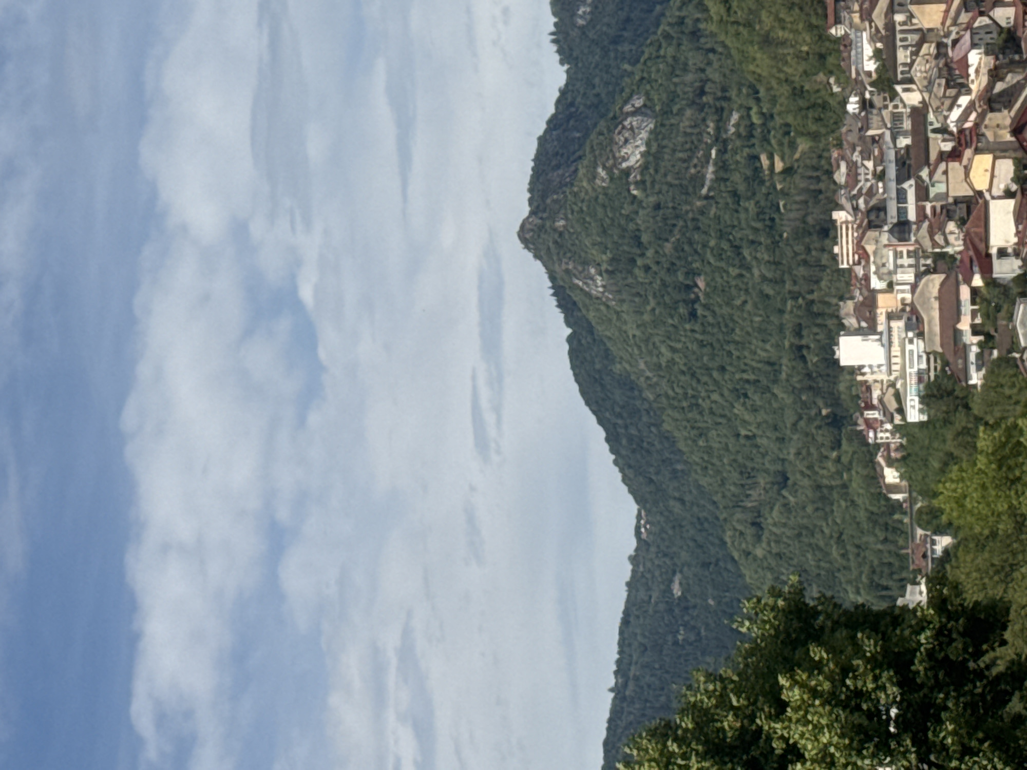This is a vertical, eye-level, medium shot of the city of Saint-Claude, France, with mountains in the background and trees in the foreground. The sky is blue with some white clouds. A few buildings are visible in the distance, nestled among green mountains. The city appears to be built on a hillside, with houses and buildings cascading down the slope. The trees in the foreground are lush and green, adding a natural element to the urban landscape. The overall impression is one of a picturesque town surrounded by nature.