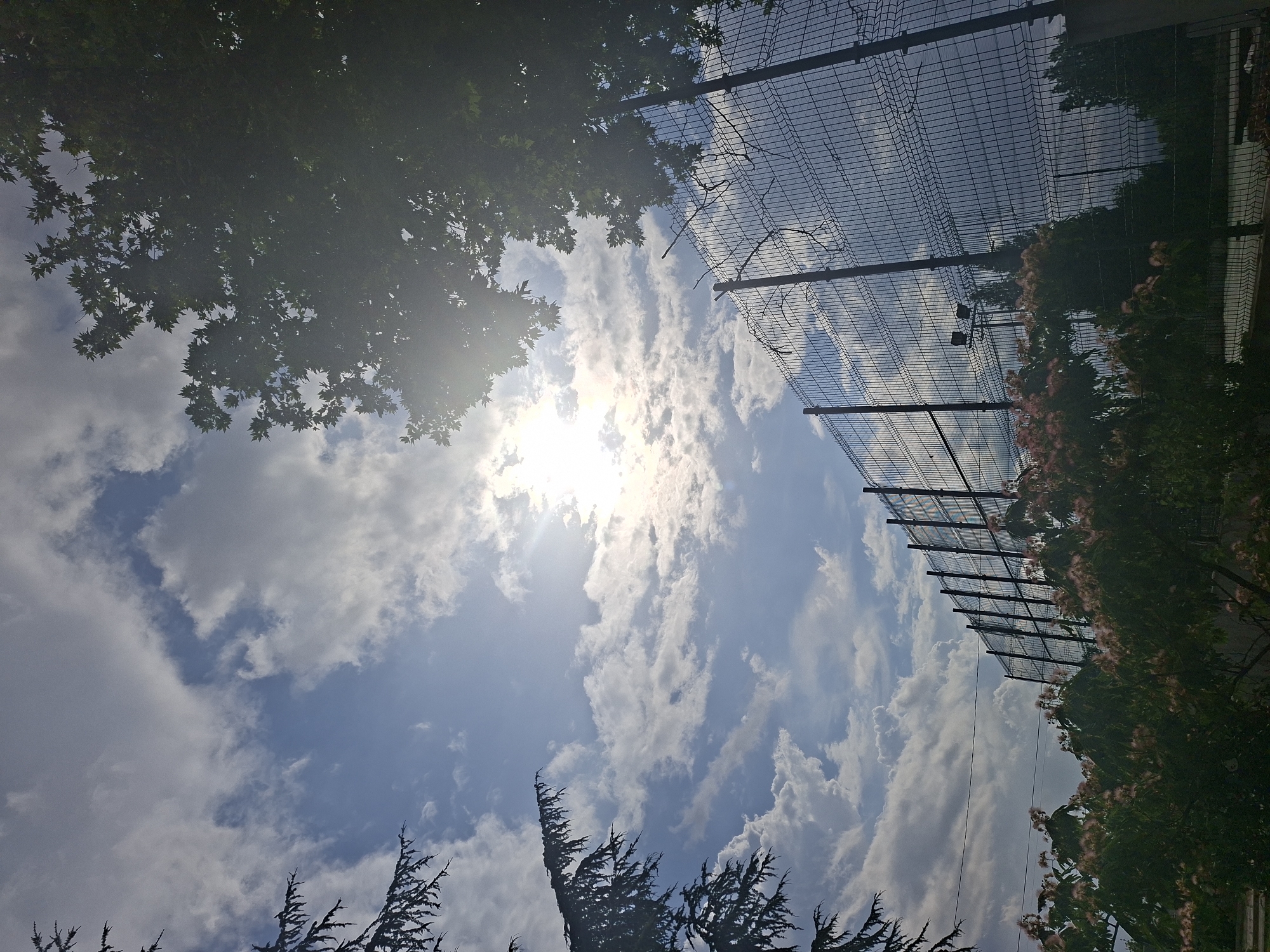 The image depicts an outdoor scene under a partly cloudy sky with the sun visible and shining brightly, creating lens flare. In the foreground, a row of green trees with pinkish flowers is visible, with branches extending upwards. Behind the trees, a tall chain-link fence topped with barbed wire runs horizontally across the frame. The fence appears to be a perimeter or security fence. Through the fence, a sports court or similar paved area is dimly visible, along with some trees and possibly stadium lighting. The image is captured from a low angle, looking upwards towards the sky and the fence. The location is identified as Aksakovo, Bulgaria.
