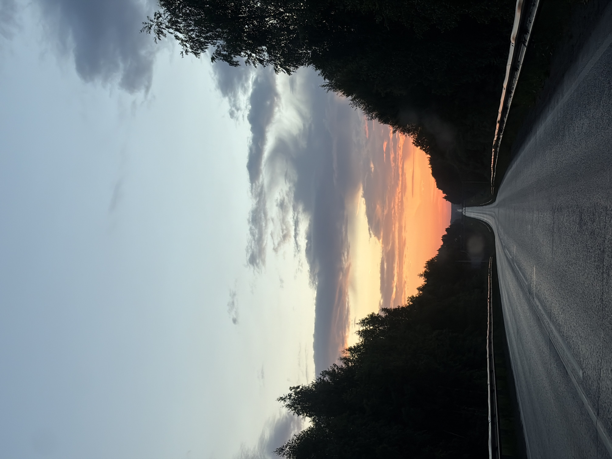 The image depicts a road curving into the distance under a twilight sky. On either side of the road are dense, dark green trees. A metal guardrail runs along the side of the road. The sky exhibits a gradient of colors, with light blue at the top transitioning to hues of orange and pink near the horizon, indicating either sunrise or sunset. Scattered clouds are present in the sky. The road itself appears to be asphalt and is wet, suggesting recent rain or dew. The perspective is from a low angle, likely from a moving vehicle, looking forward along the road. The location of Garevaya, Russia is not discernible from the image itself. There are no people or specific objects that would indicate a city or urban environment.
