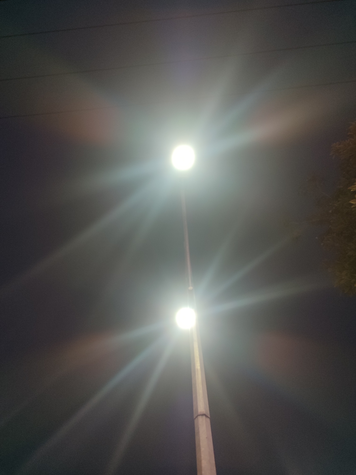 A street lamp post with two lights stands tall against a dark sky. The lights are intensely bright, creating a starburst effect. Thin, dark lines are visible across the top of the image, likely power lines. To the right, a cluster of dark green leaves suggests a tree is present. The setting appears to be an urban environment, possibly in Surabaya, Indonesia, given the context. There are no people or animals visible in the frame. The overall impression is one of a dimly lit night scene illuminated by artificial light.