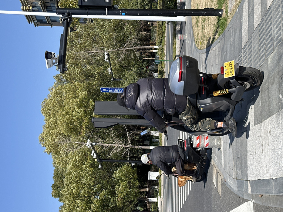 Two people are riding electric scooters on a city street, both wearing dark puffy jackets. One scooter has a storage box and a license plate that reads "6402473". A golden retriever dog rides in the footwell of the second scooter. Surveillance cameras are visible on poles along the street. Trees line the street. The sky is blue.