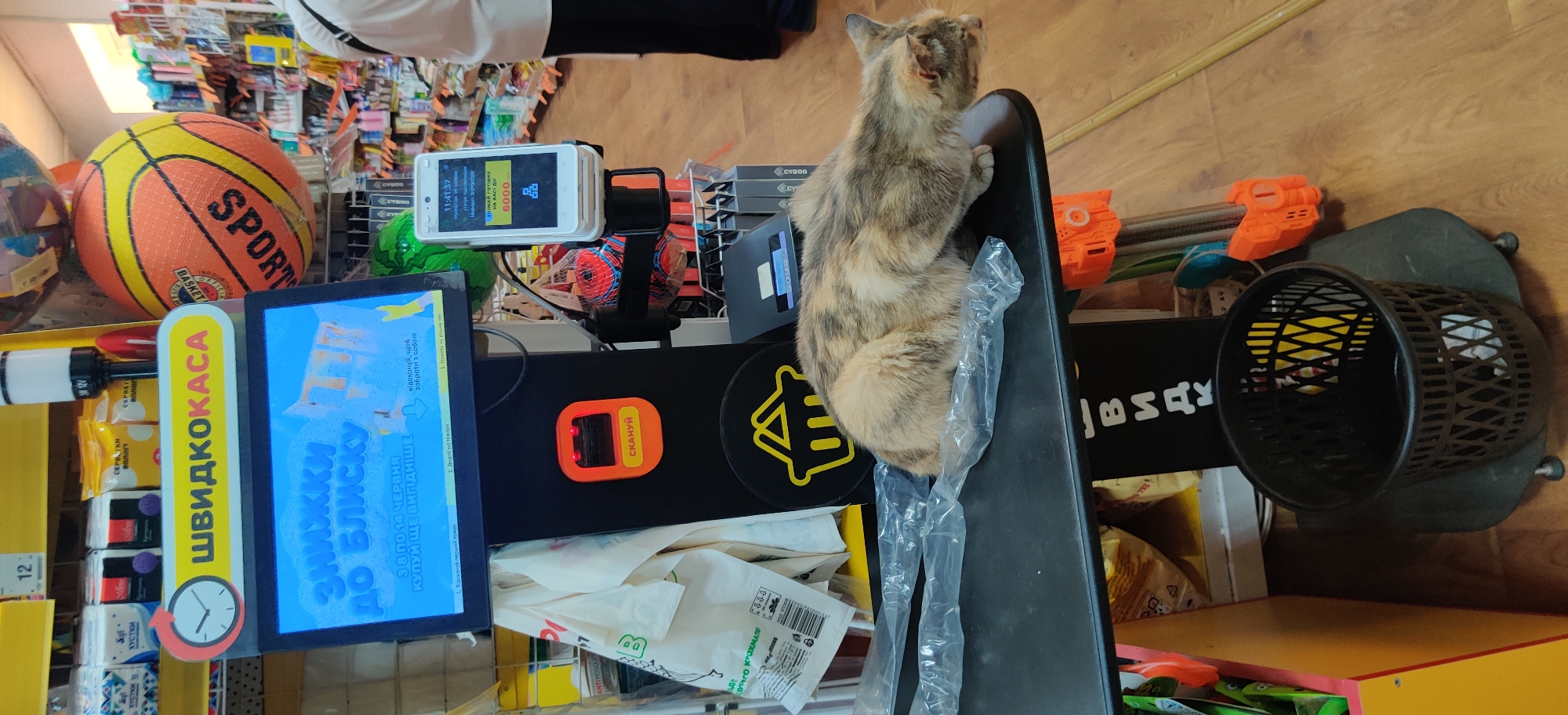 In Kolomak, Ukraine, a calico cat is perched on a black shelf in front of a self-checkout station. The station features a digital display showing a promotion for discounts, a scanner, and a payment terminal. The cat appears to be resting, with its body curled and its head turned to the side. The environment suggests a retail setting, possibly a supermarket or a convenience store, with various products and shelving visible in the background. A basketball is also present, adding a touch of sporty decor.